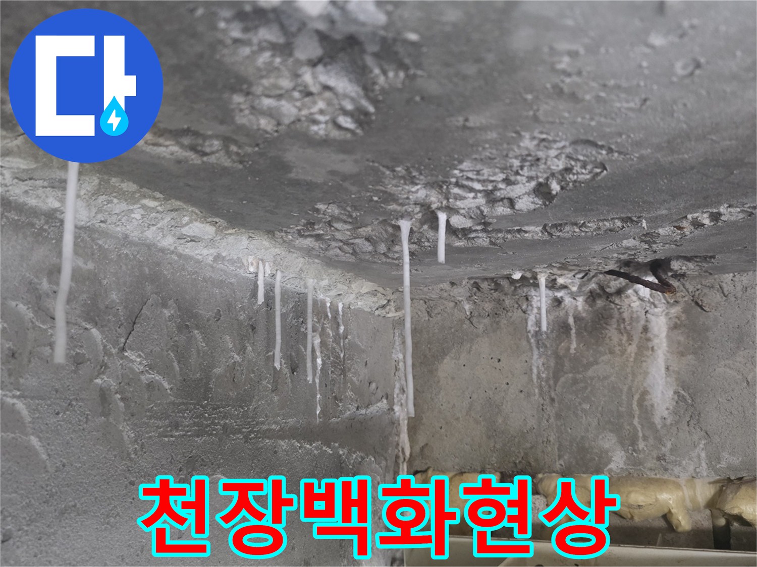 화장실-천장-슬라브-콘크리트-백화현상-사진