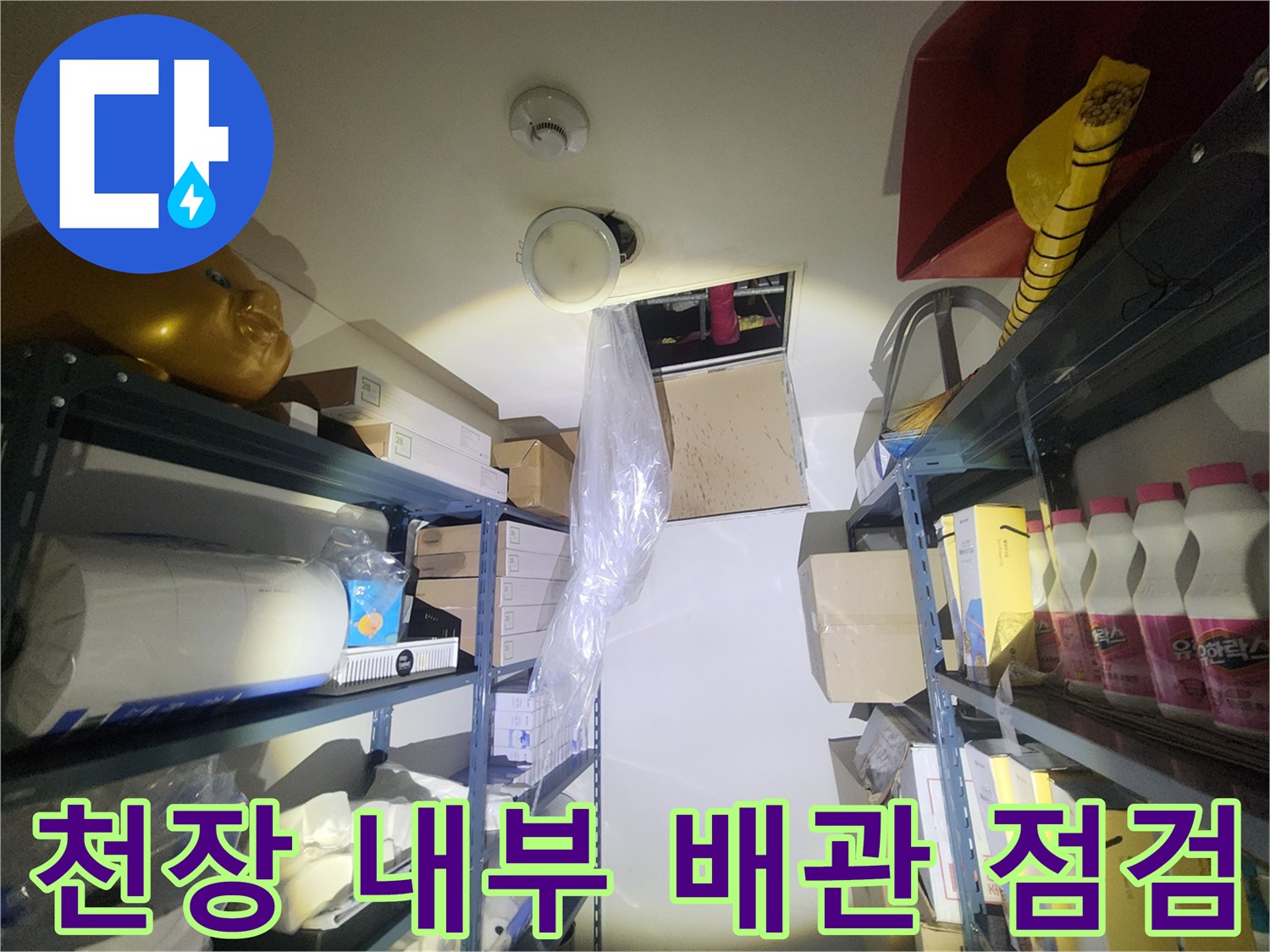신촌-화장실-천장-내부-배수관-누수-흔적-조사