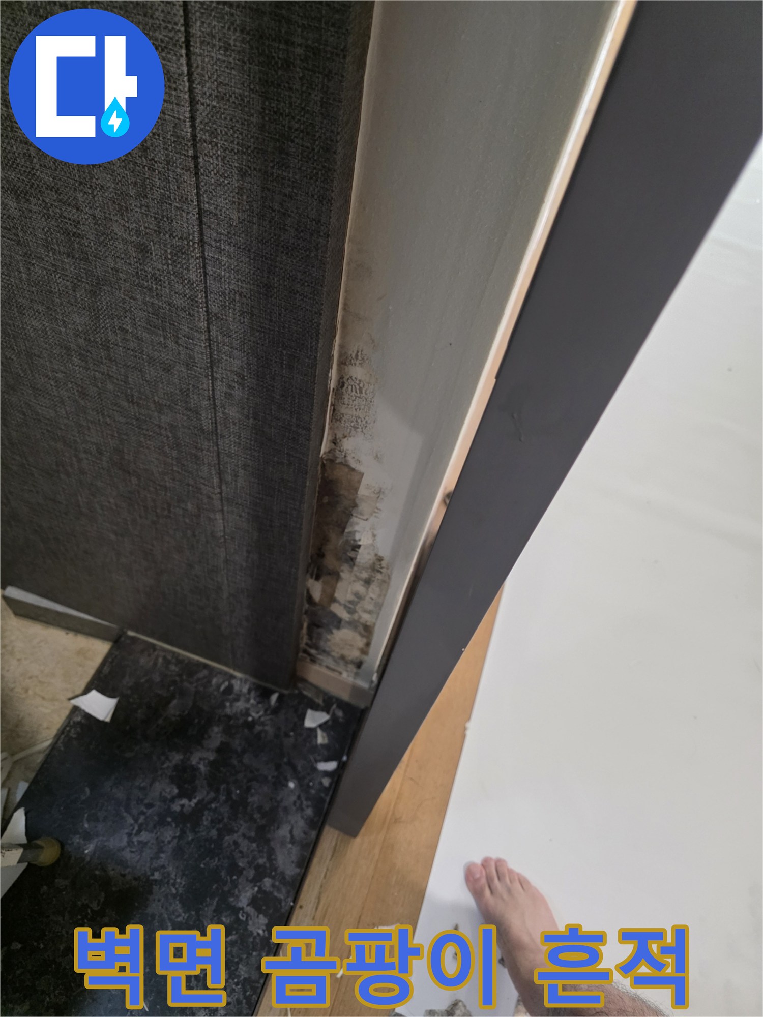 거실 벽면 하단부-곰팡이와 습기로 인한 벽지 변색 상태