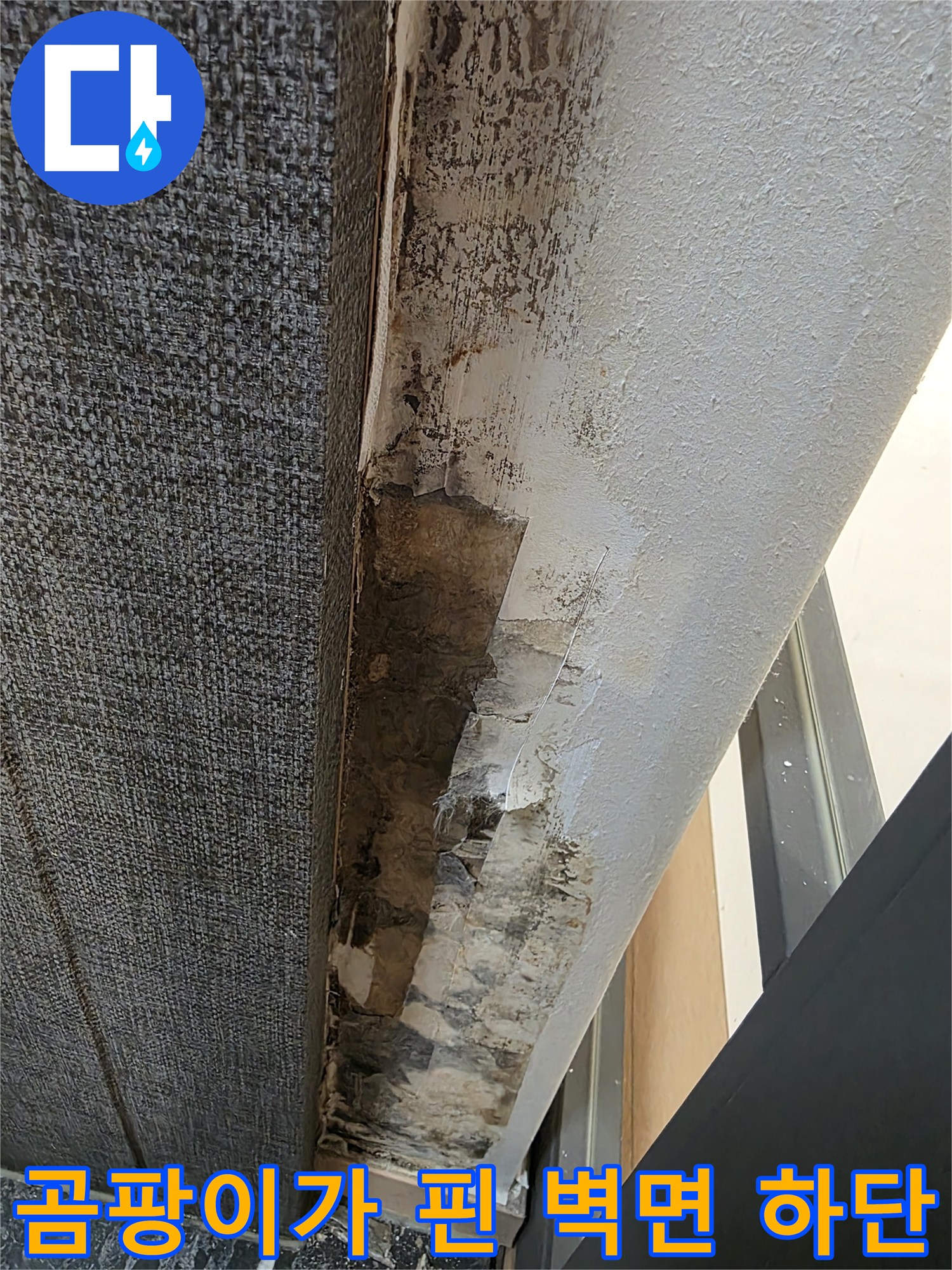 수지구 아파트 내부-누수로 인해 오염된 거실 벽면