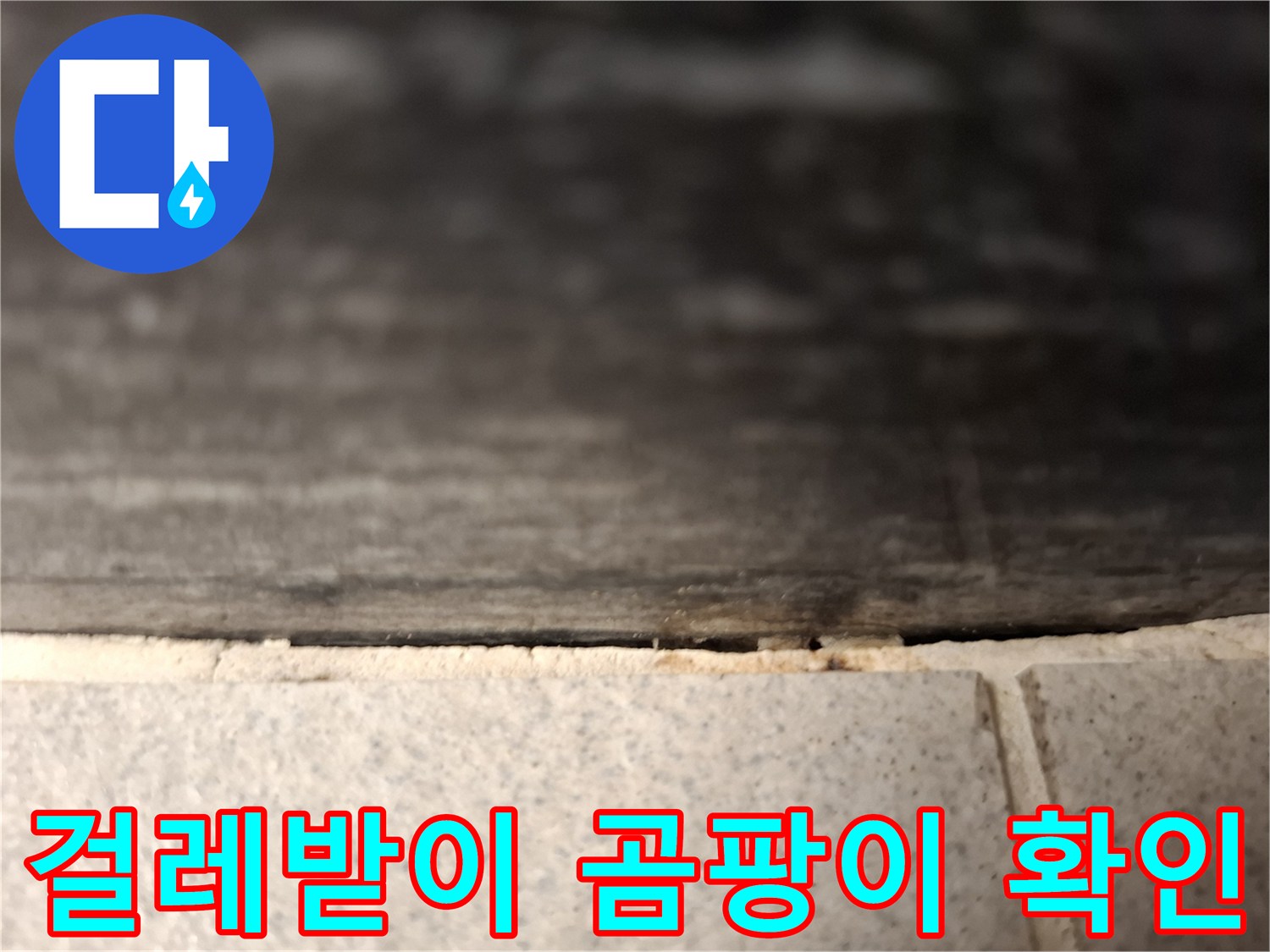 용인 수지구 거실 걸레받이 하단에 발생한 곰팡이와 습기 흔적