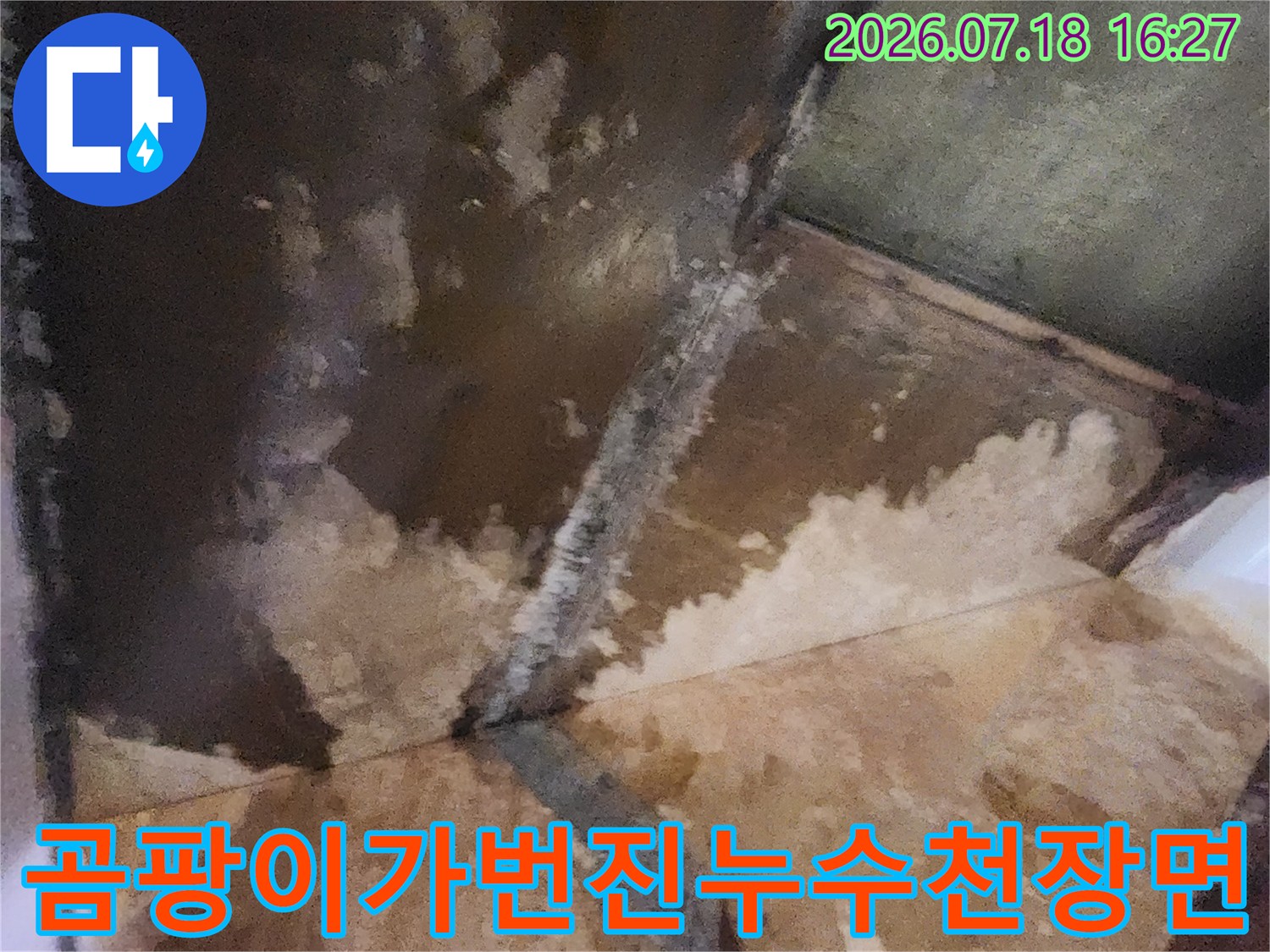 물에 젖어 갈색으로 변하고 곰팡이가 심하게 발생한 천장의 사진