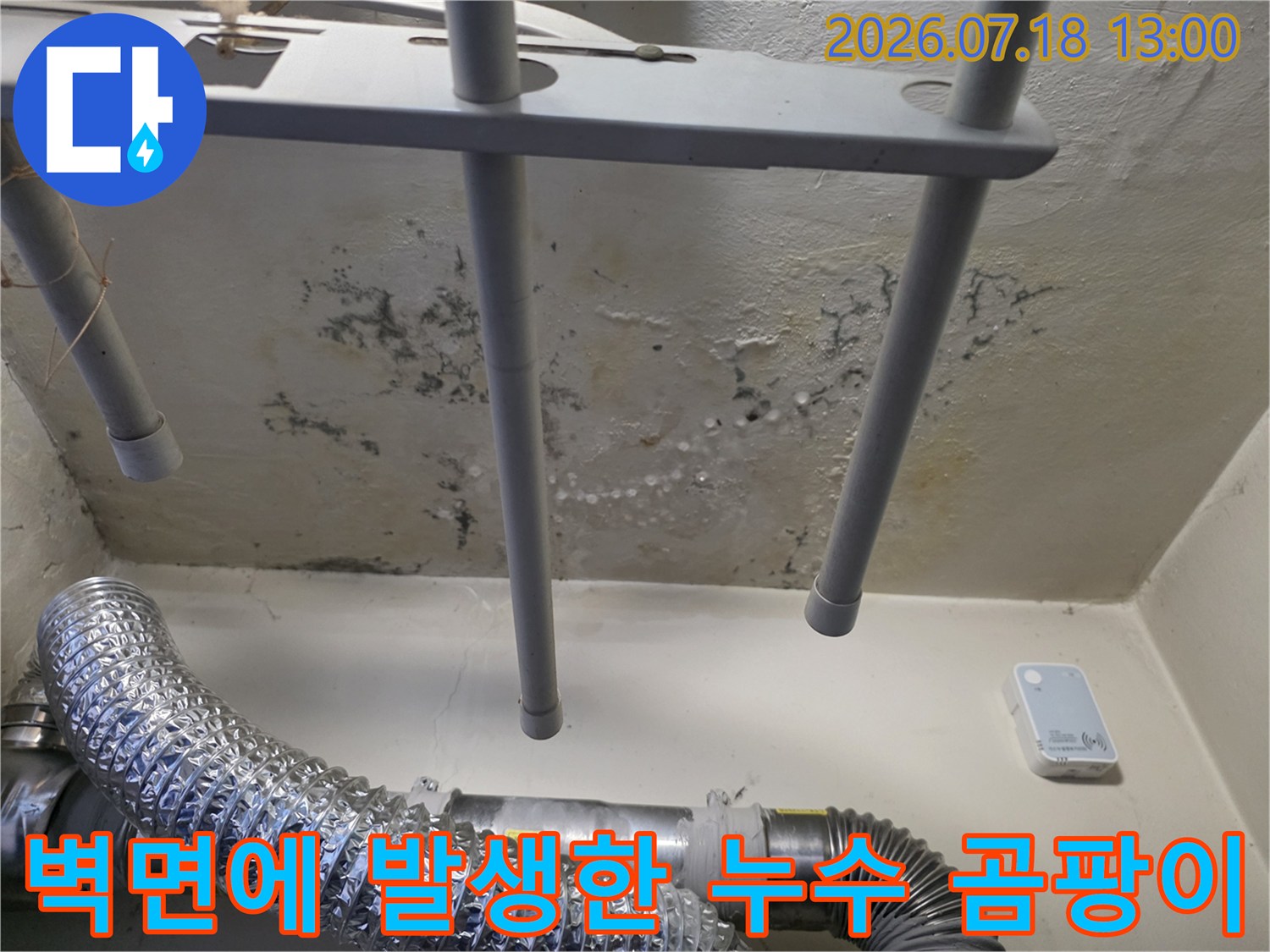 배관 시설물이 설치된 흰색 벽면에 검은 곰팡이와 물 얼룩이 심하게 남은 모습