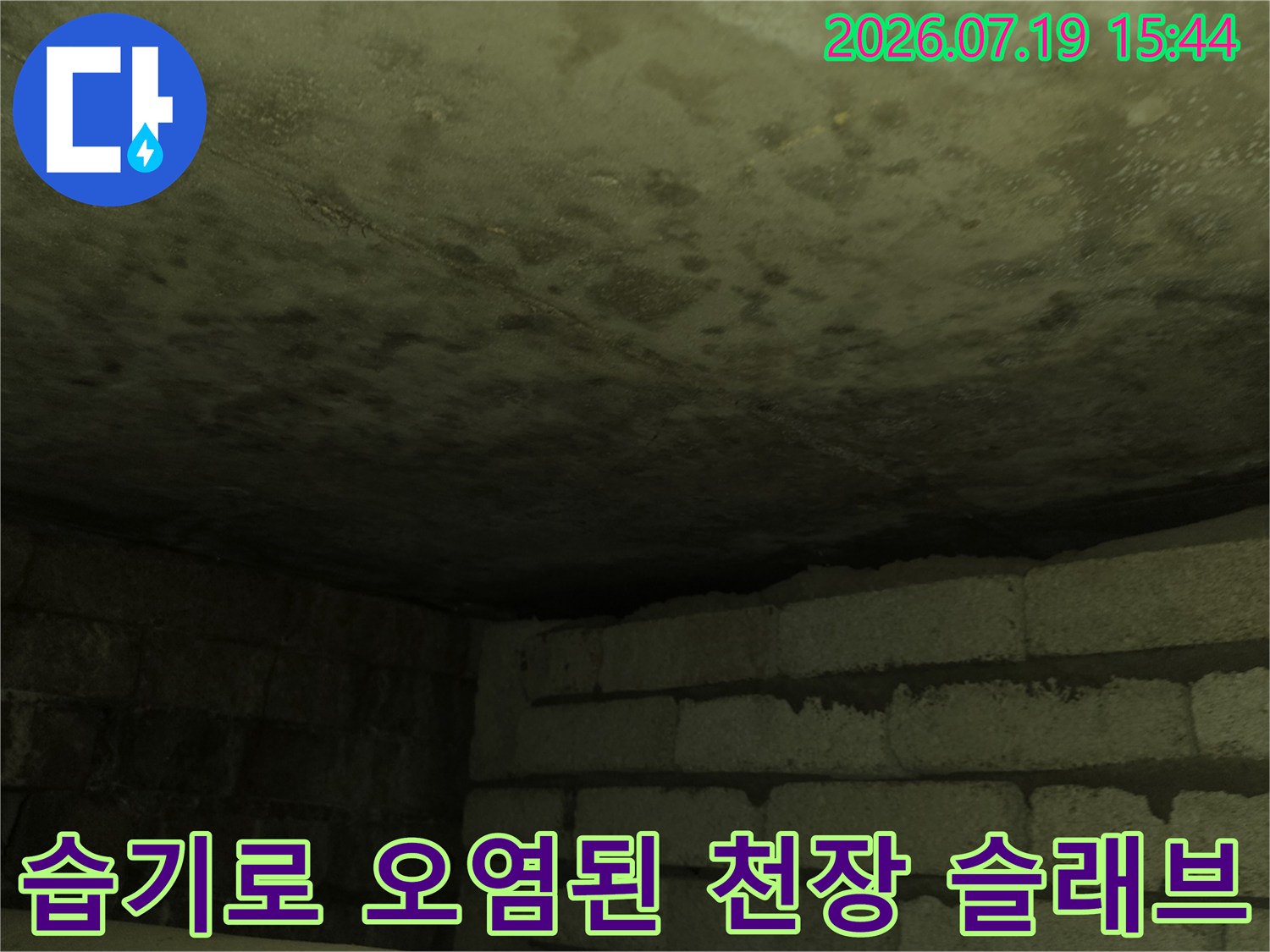 누수로 인해 누런 얼룩과 습기가 가득한 화장실 천장 내부 사진