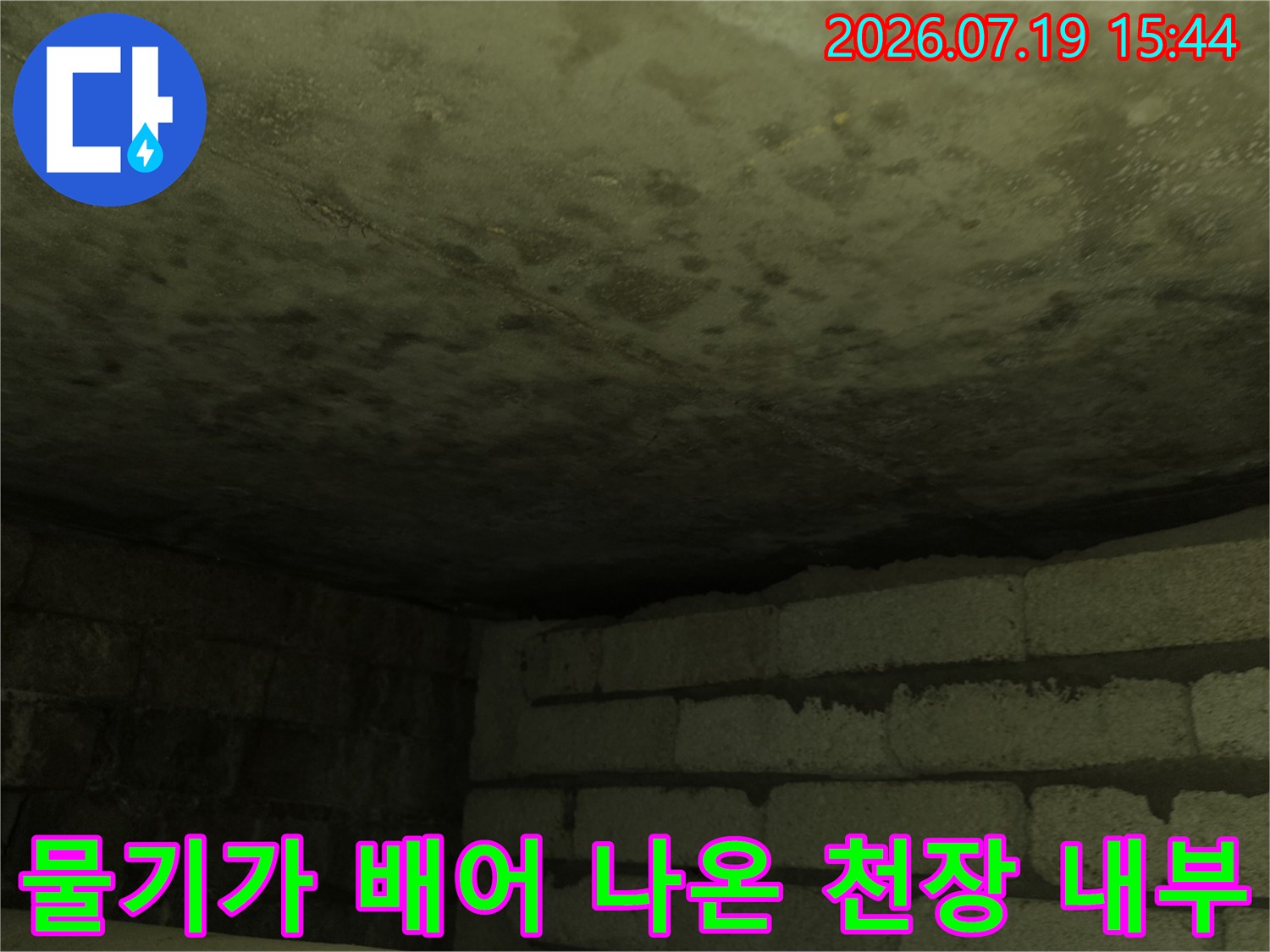 화장실 천장 콘크리트에 누수로 인해 생긴 얼룩과 습기의 모습
