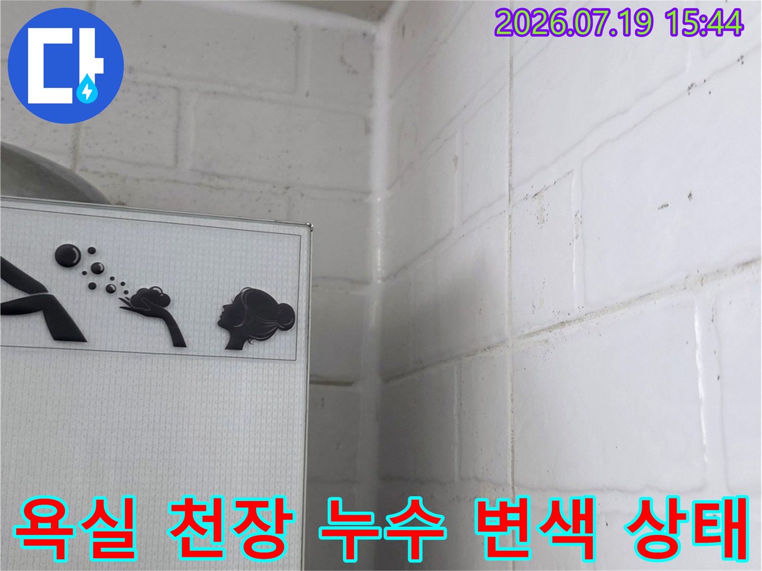 화장실 천장의 흰색 플라스틱 판넬 접합부에 발생한 어두운 누수 얼룩-사진