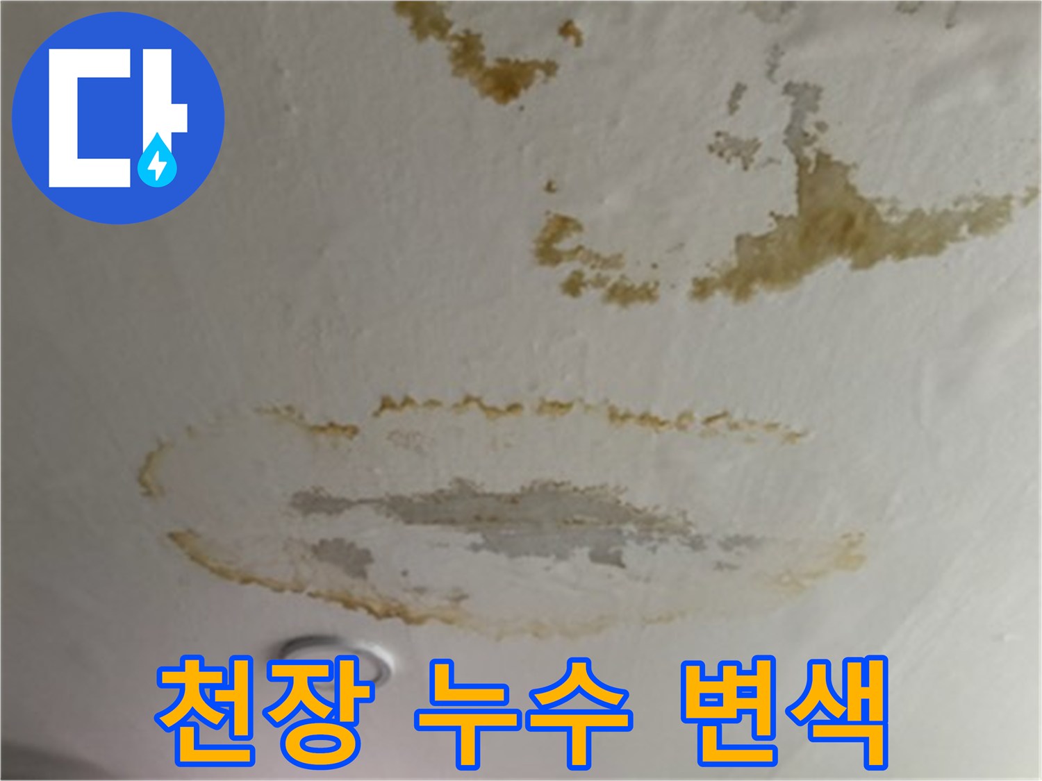 갈색으로-변한-아파트-천장-누수-피해-부위