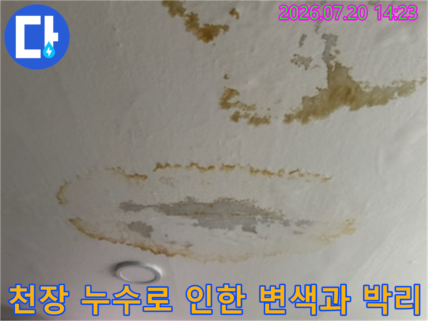 거실 천장면의 넓은 누수 얼룩 및 석고보드 파손 상태
