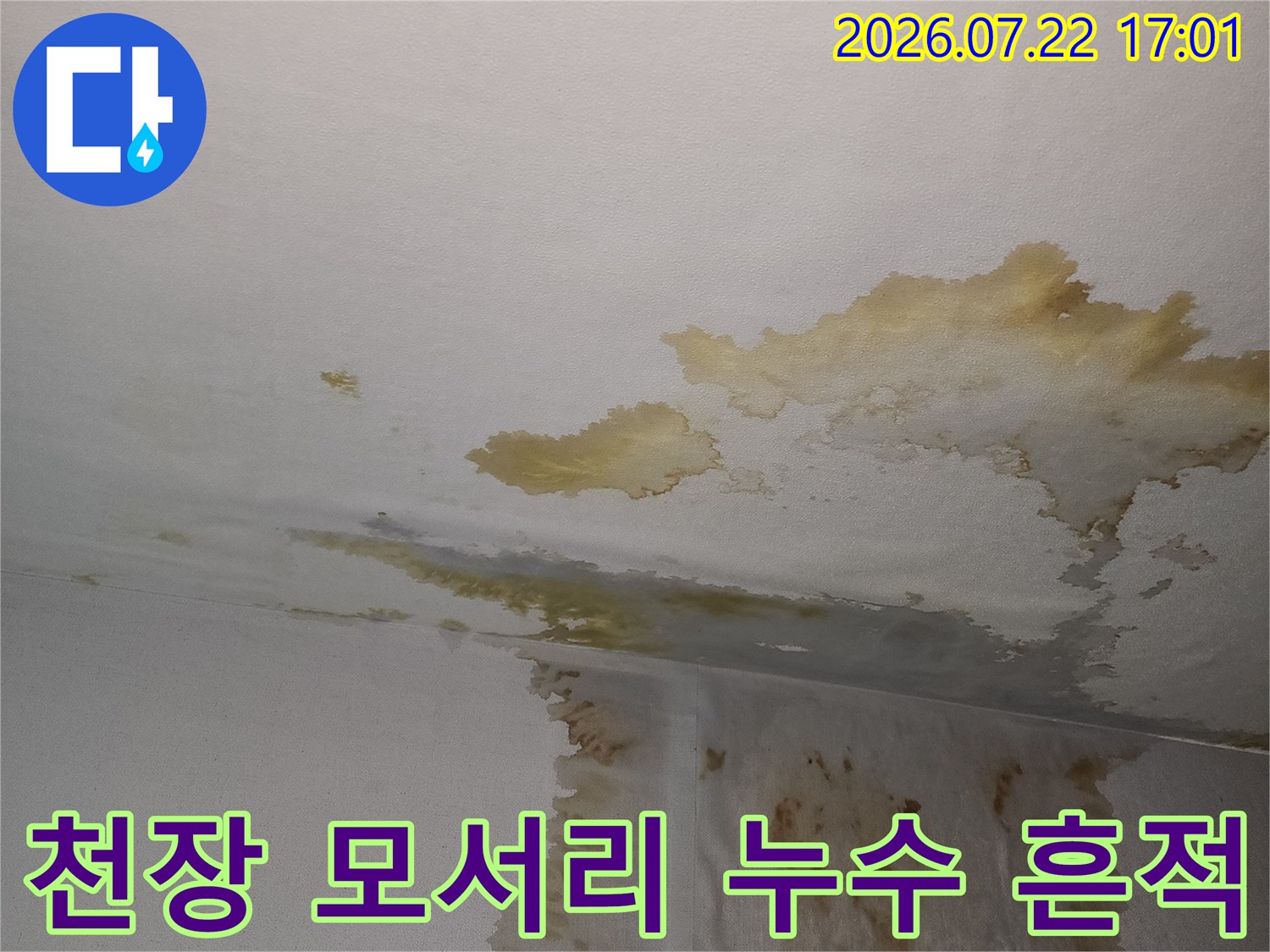 벽면이 젖어 변색되고 부풀어 오른 천장과 벽의 경계 부분