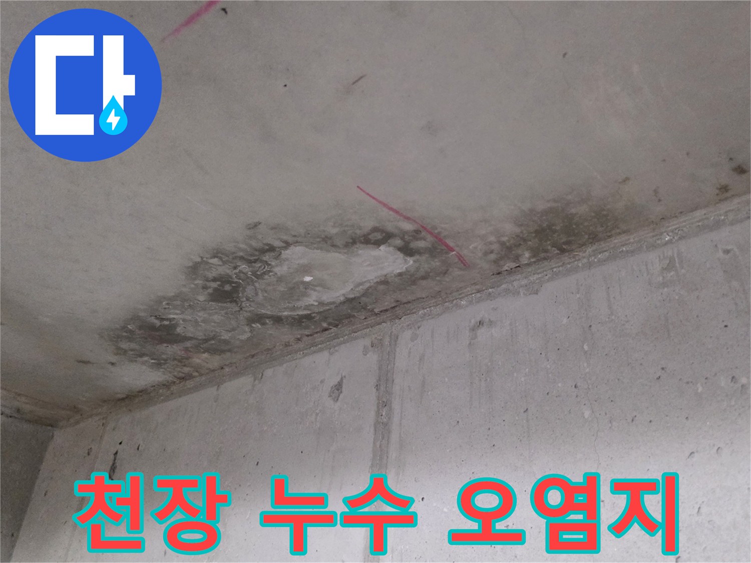 물샘으로 인해 어둡게 변한 천장 면의 오염 부위