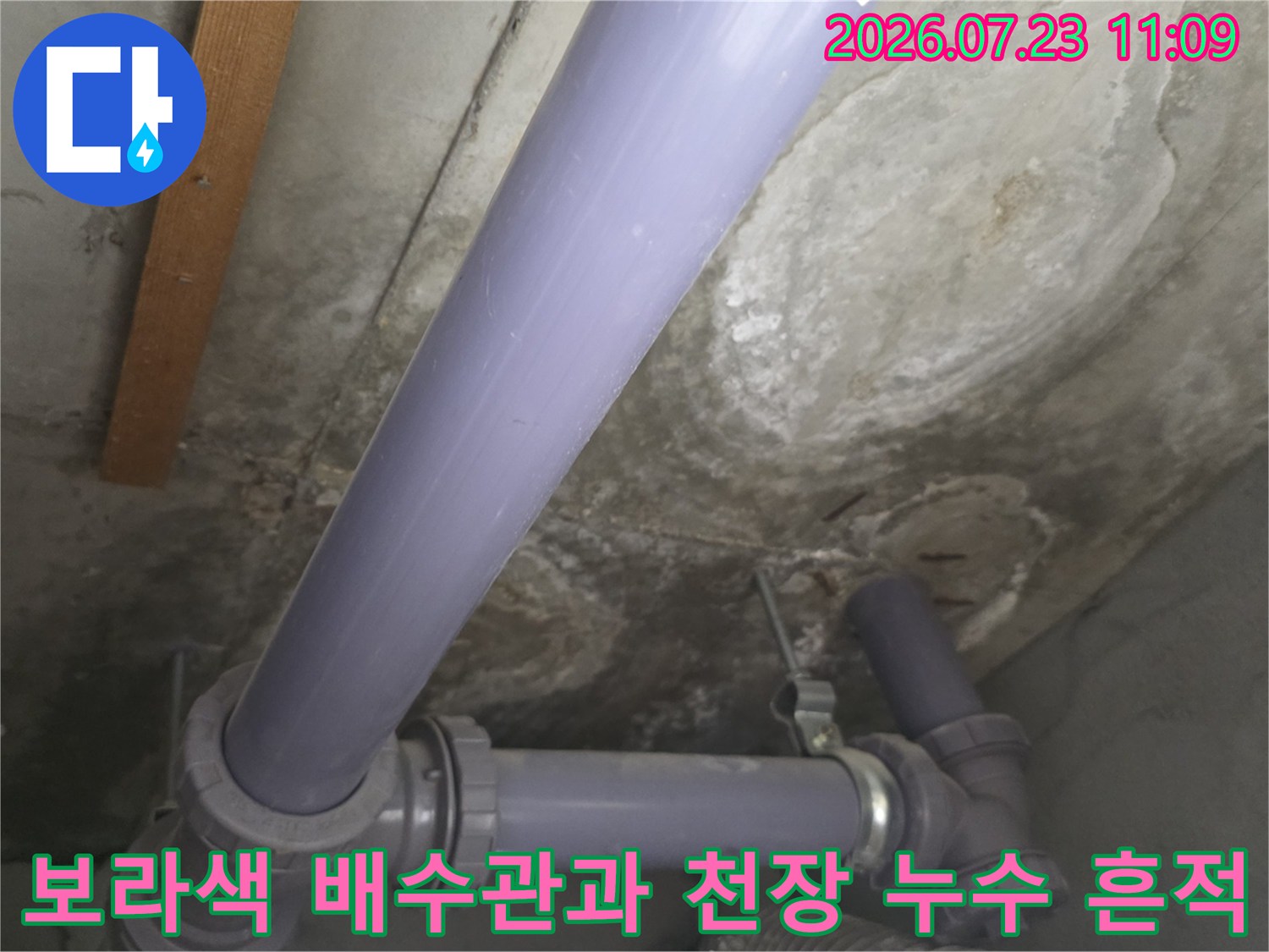 천장-내부에-노출된-보라색-배수관-및-콘크리트-슬래브의-물샘-자국