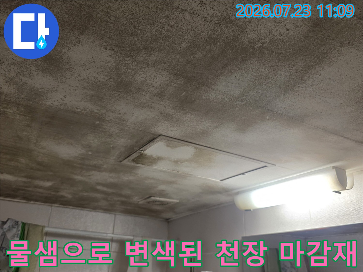 흰색 천장 판넬에 누수로 인한 갈색 물자국과 곰팡이가 넓게 분포된 모습