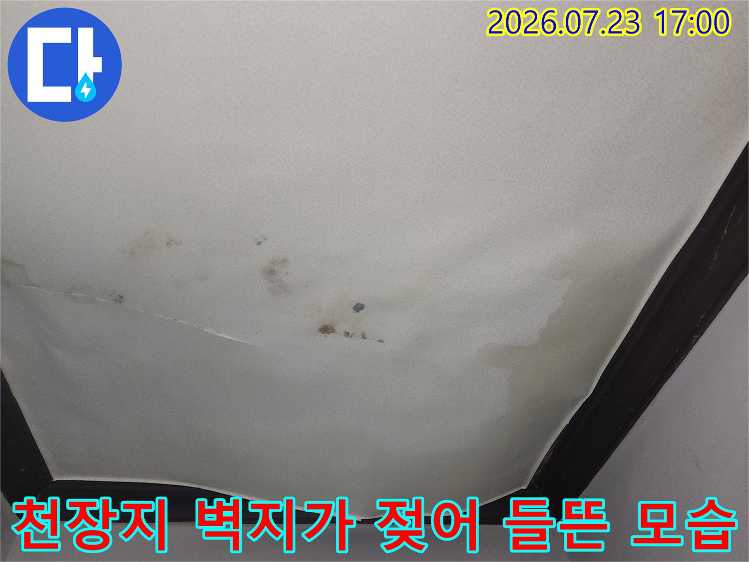 아랫층 거실 천장의 벽지가 물에 젖어 갈색 얼룩이 생기고 아래로 처진 모습