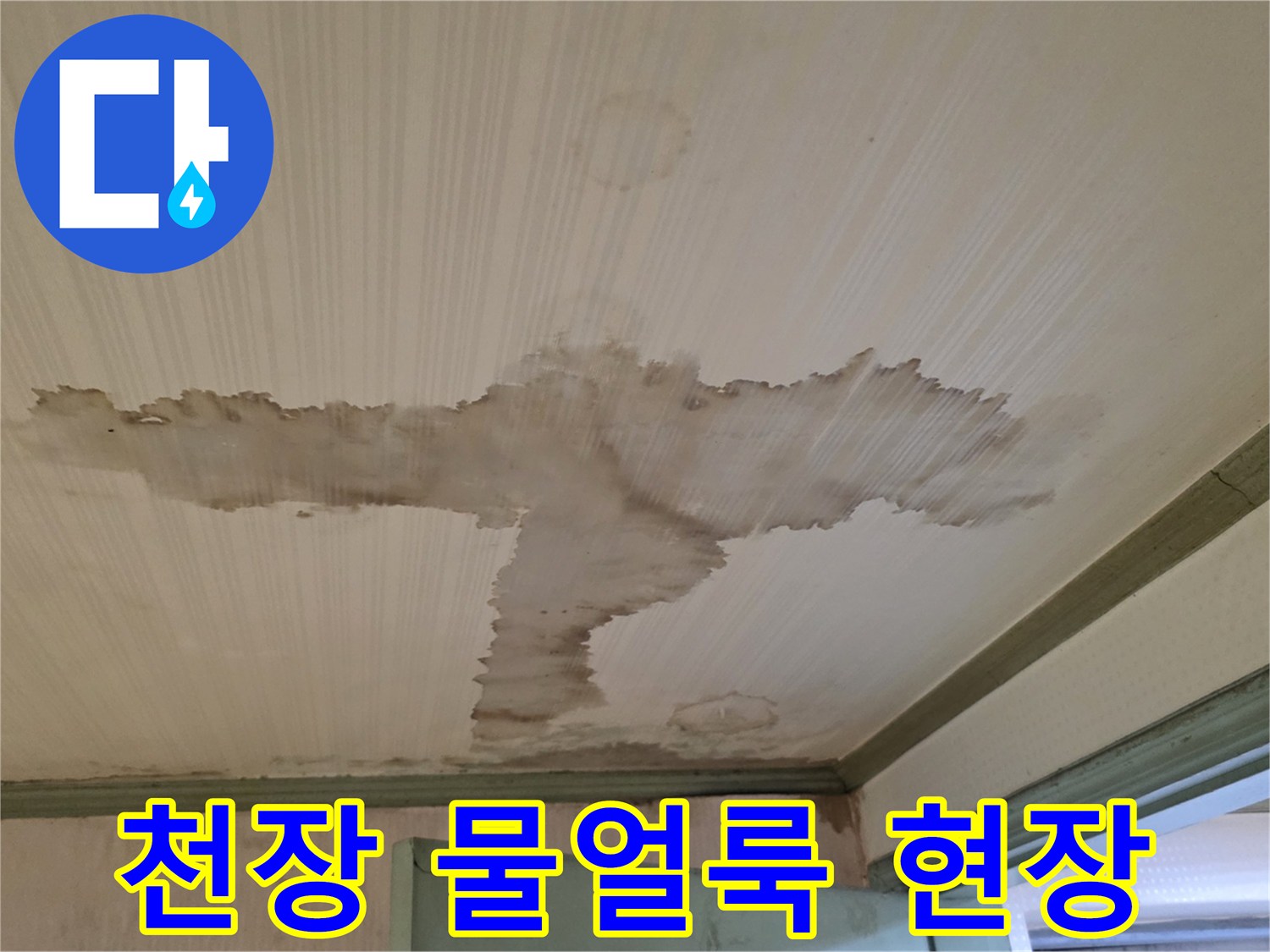 성북구 정릉동 빌라-천장에 발생한 광범위한 물자국과 습기 흔적
