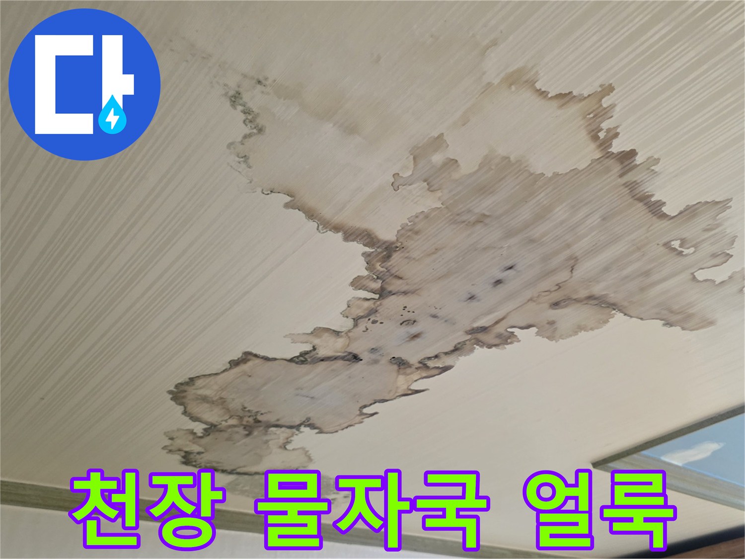 성북구 정릉동 아파트 천장 내부의 넓은 물얼룩 상태