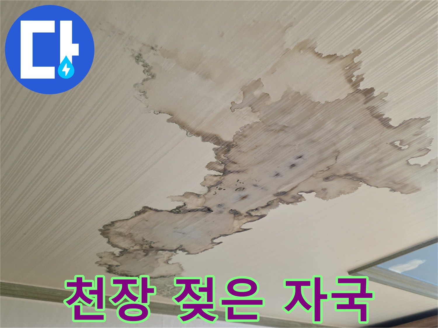 성북구 정충동 현장-천장 벽지에 나타난 갈색 물 번짐 부위