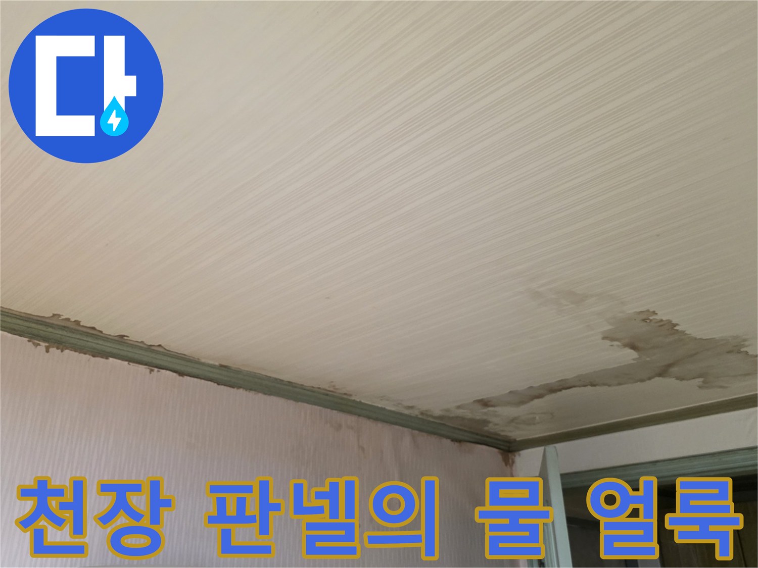 심하게 젖은 천장 마감재와 벽면 경계 부위