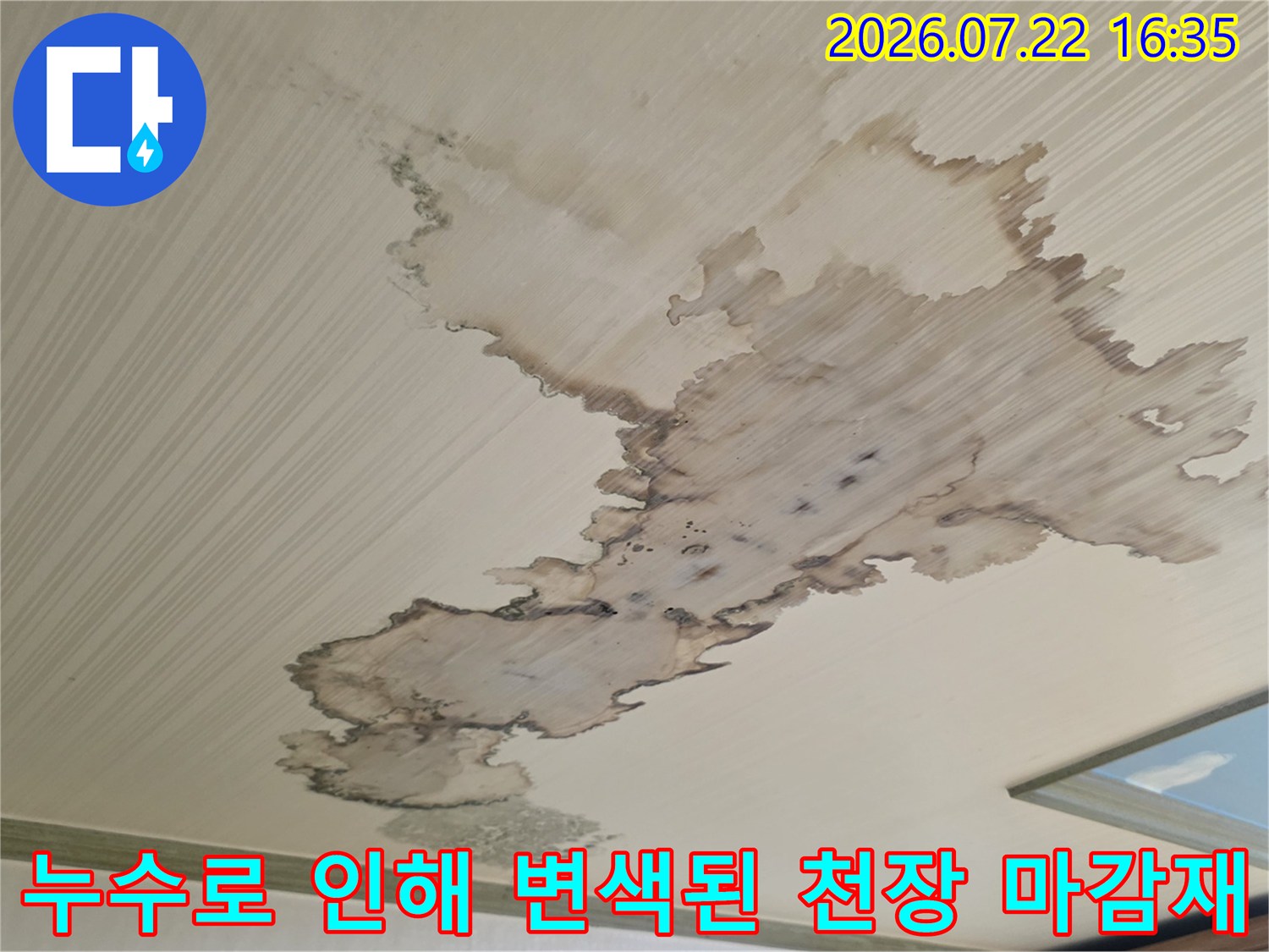 천장 표면에 갈색의 커다란 누수 얼룩이 불규칙한 모양으로 퍼져 있는 사진