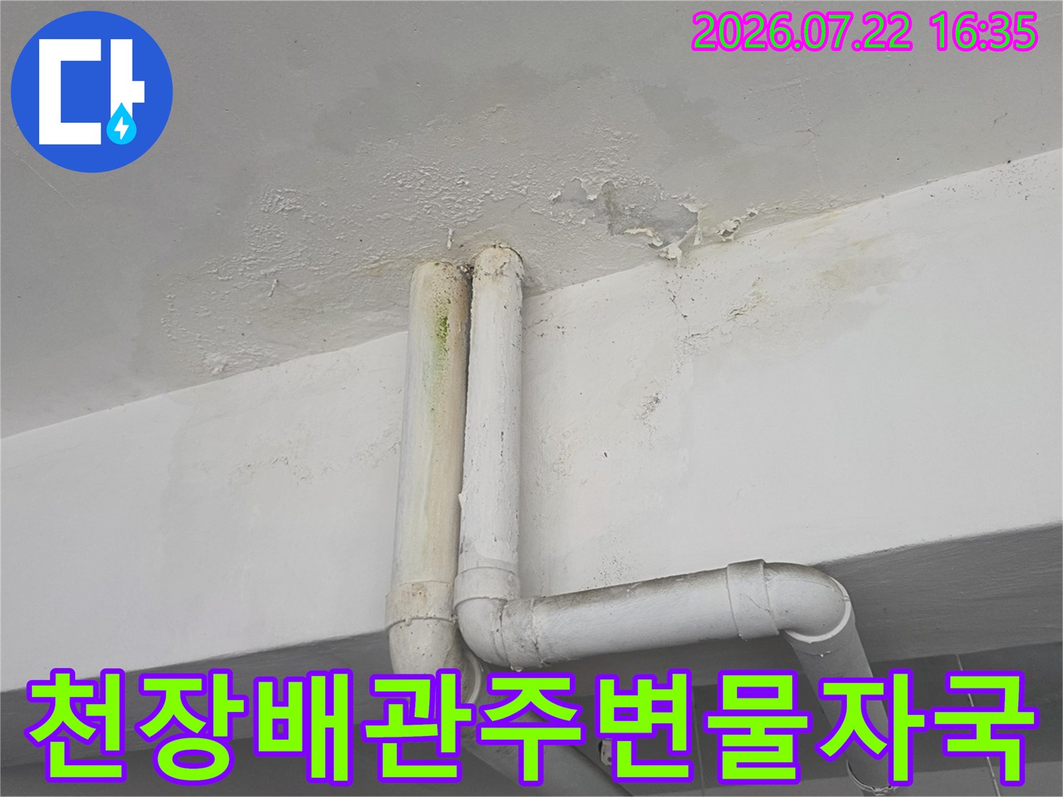하얀색 천장 배관 주변으로 누수로 인한 노란색 얼룩과 곰팡이가 발생한 모습