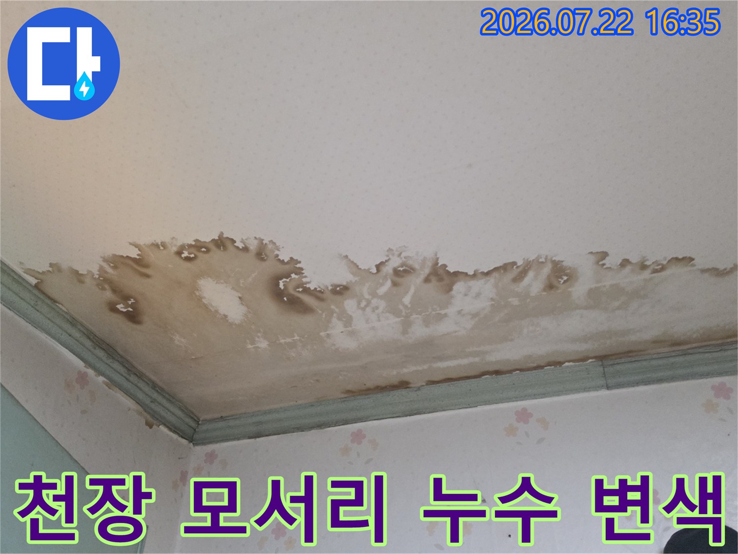 흰색 천장지 위에 갈색으로 번진 누수 자국-습기로 인한 표면 박리 현상