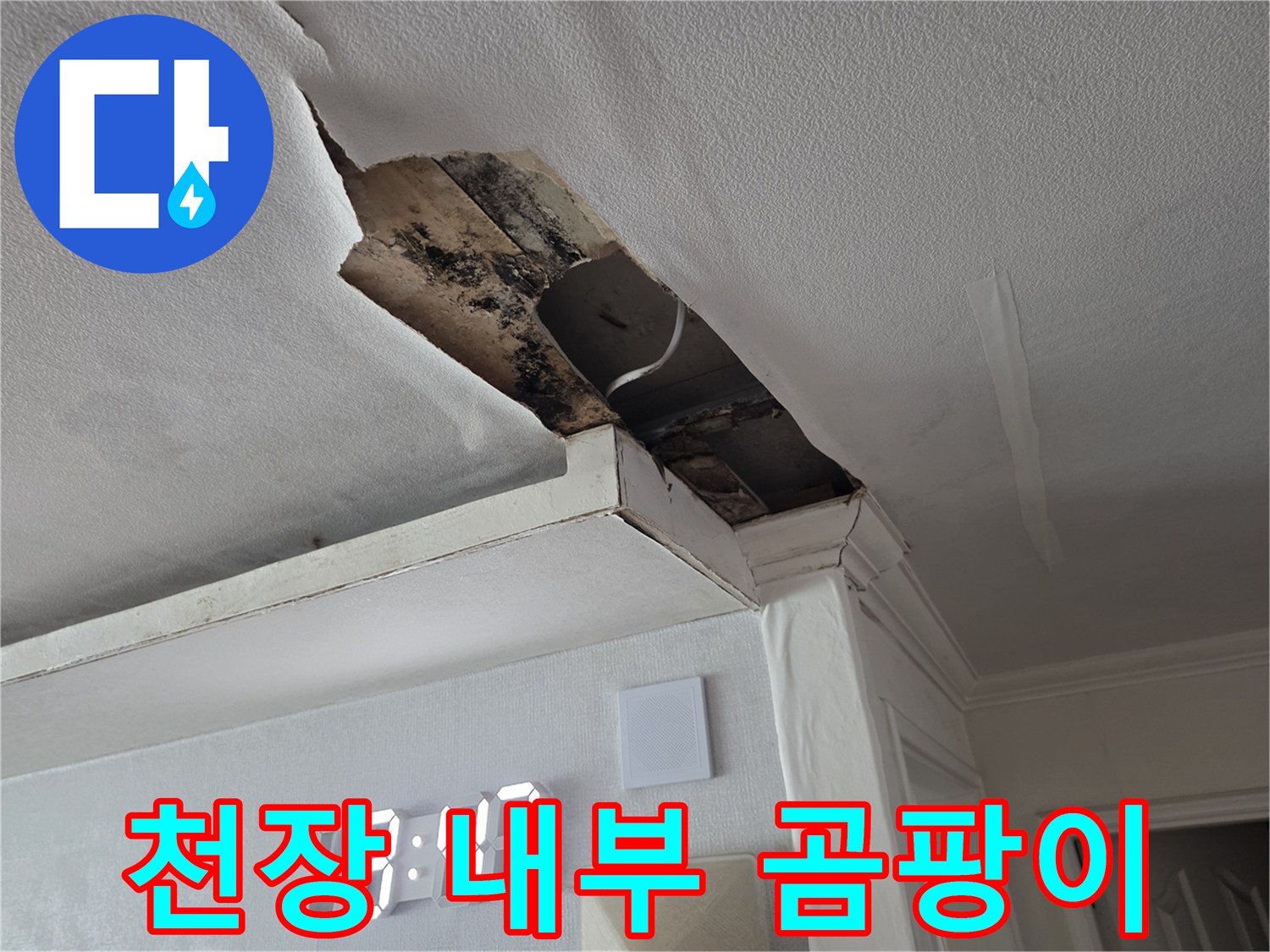 천장 파손 부위의 검은 곰팡이와 물자국