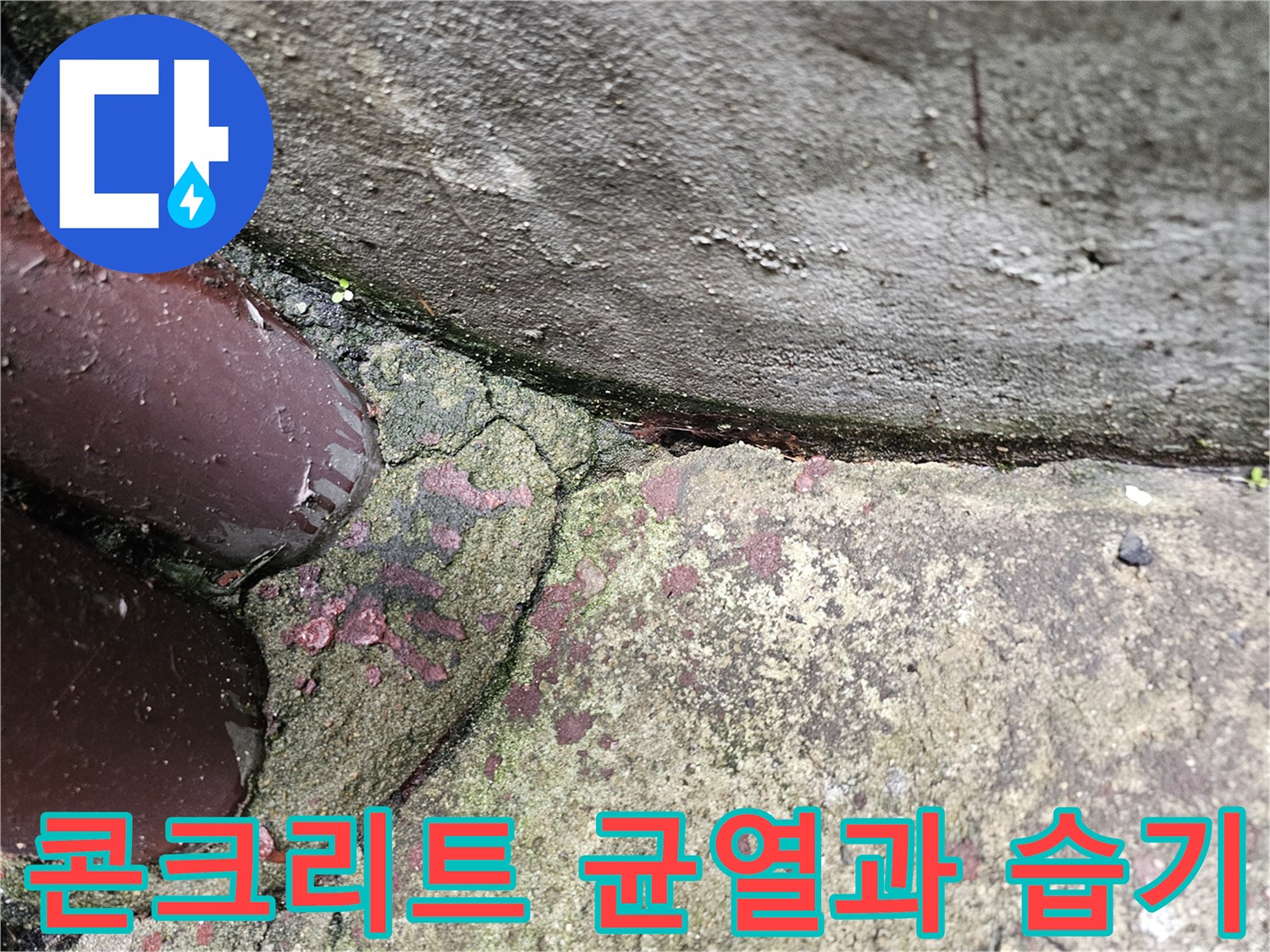 물기가-스며든-콘크리트-균열-상태