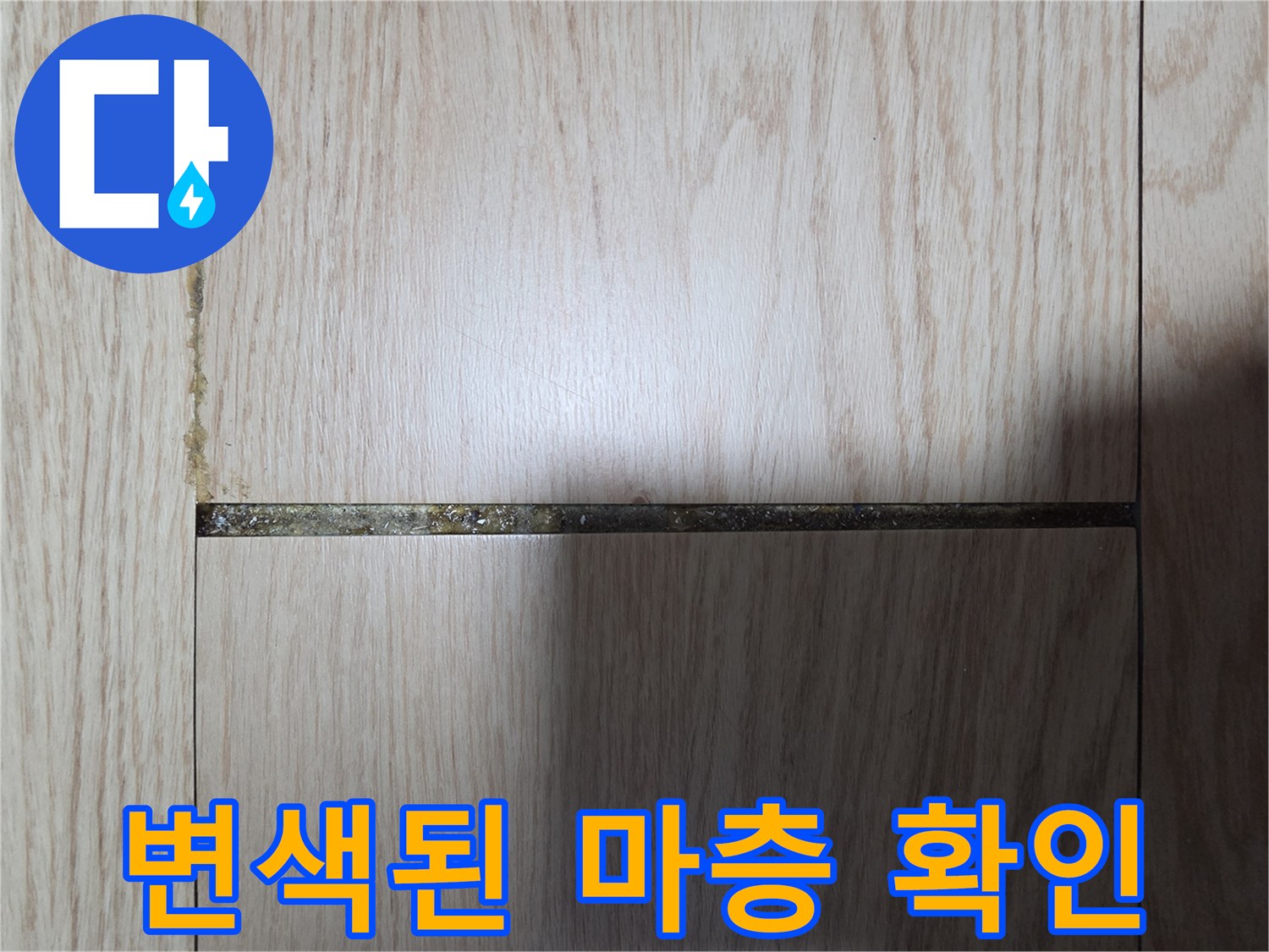 어둡게 변한 마루 판재와 틈새 사이의 습기 상태를 보여줍니다.