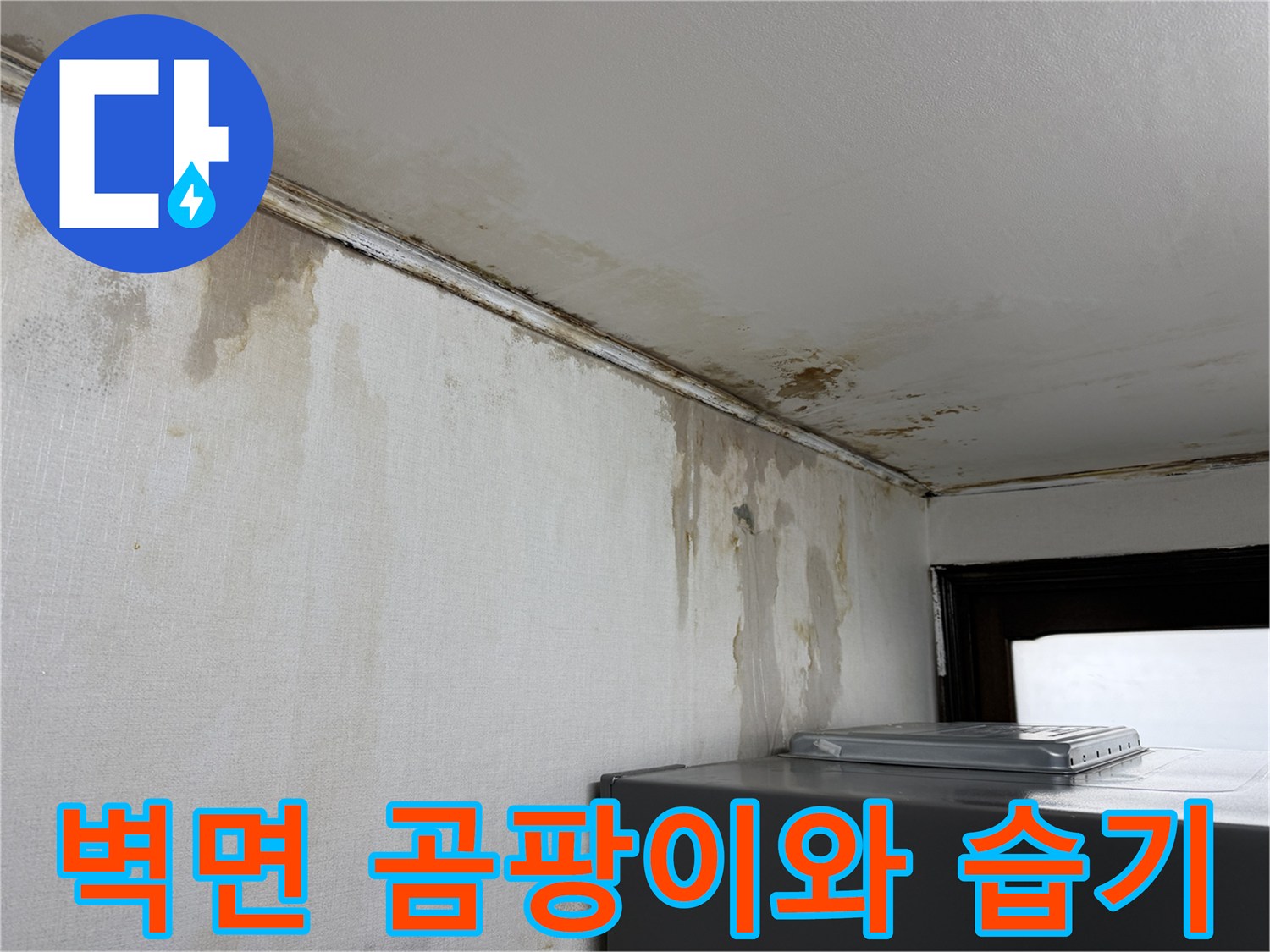 주방 벽면 하단-상단까지 이어진 젖은 자국과 곰팡이