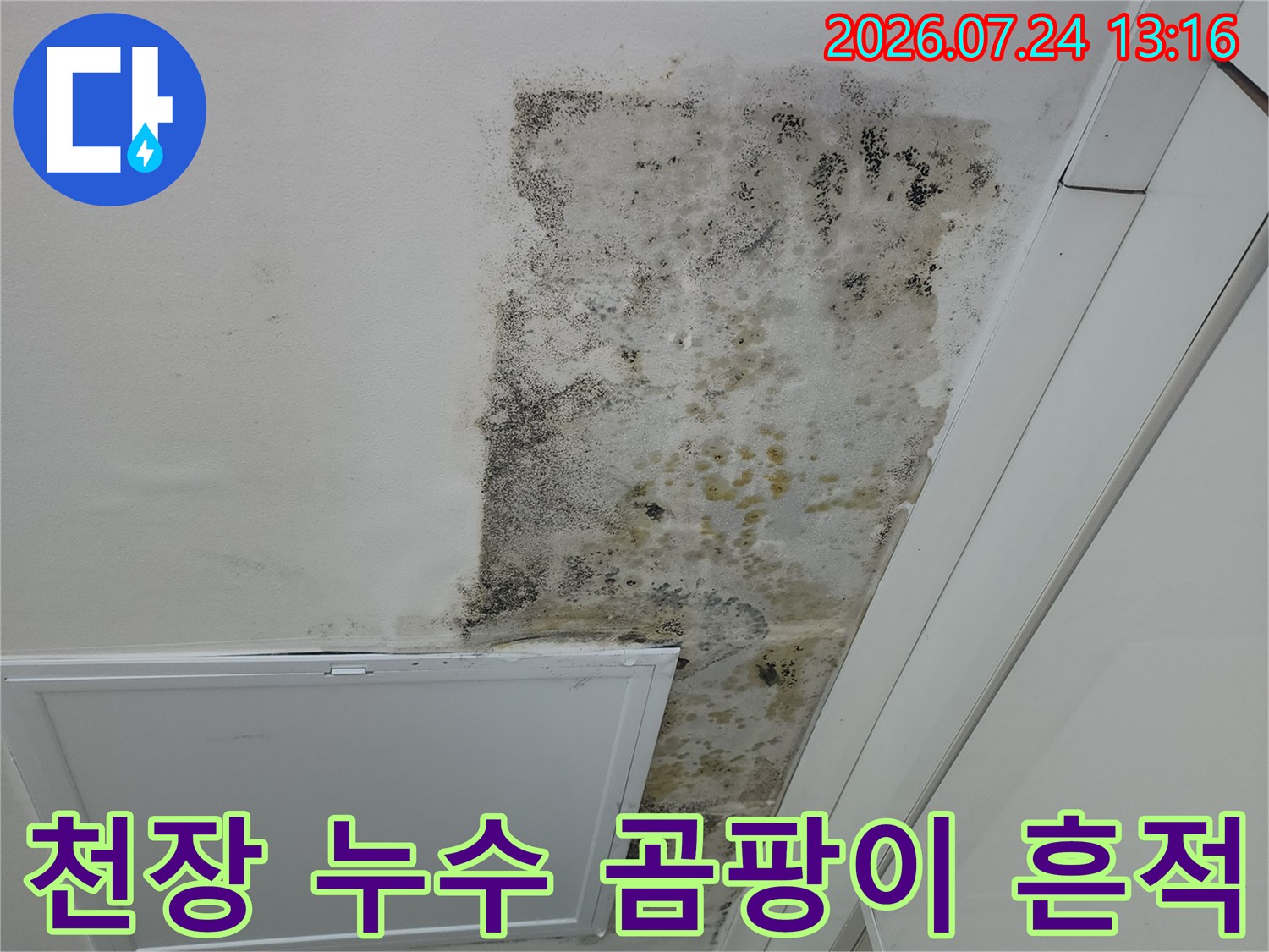 오염된 천장 벽면과 곰팡이가 번진 내부 모습