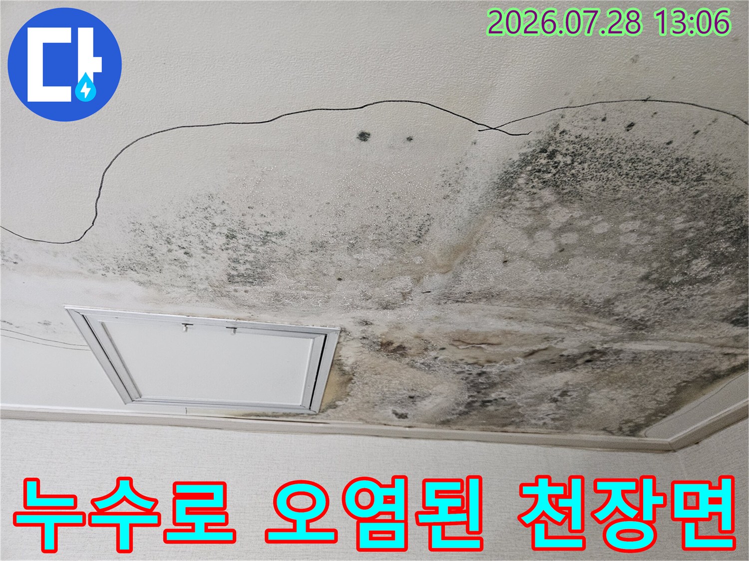 물샘으로 인해 변색되고 곰팡이가 발생한 주방 천장 마감재