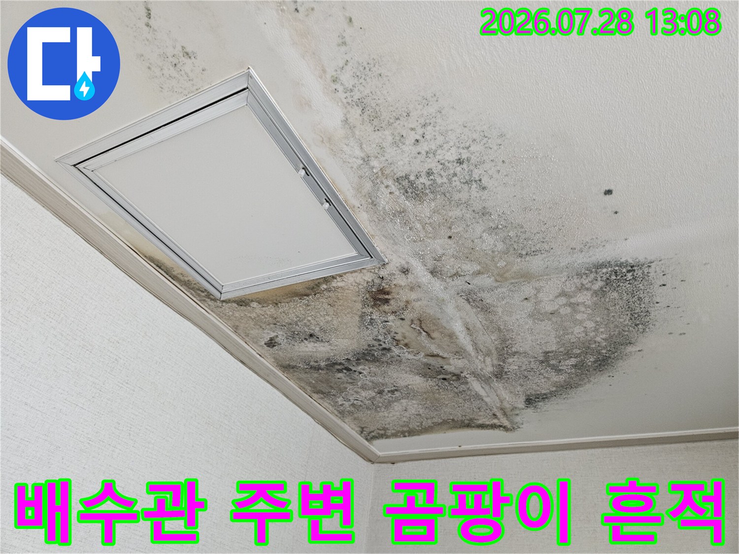 배수 배관 주변에 발생한 검은색 곰팡이와 습기 흔적을 촬영한 사진