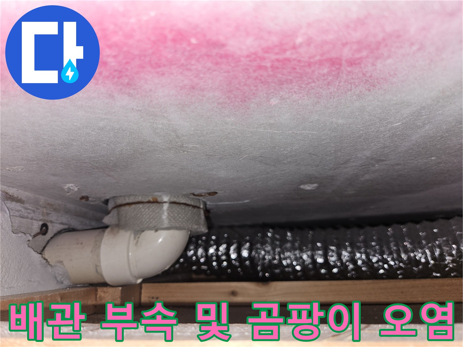 분홍색-곰팡이가-발생한-천장과-배수-배관-연결부
