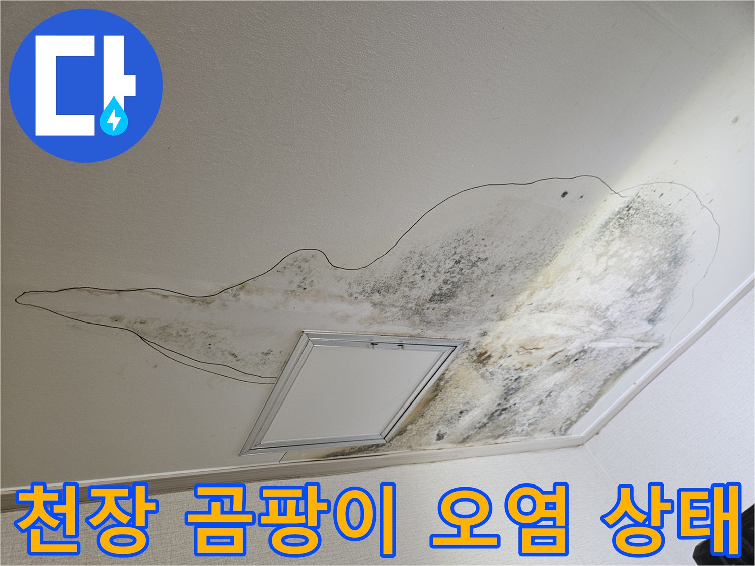 심하게 변색된 주방 천장의 곰팡이와 누수 침투 흔적 사진