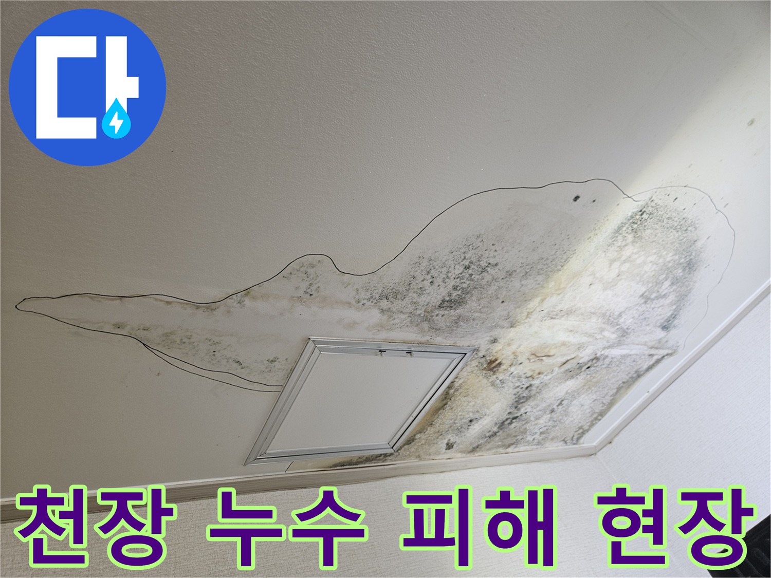 주방 천장 마감재 부근에 나타난 광범지한 습기 및 곰팡이 오염