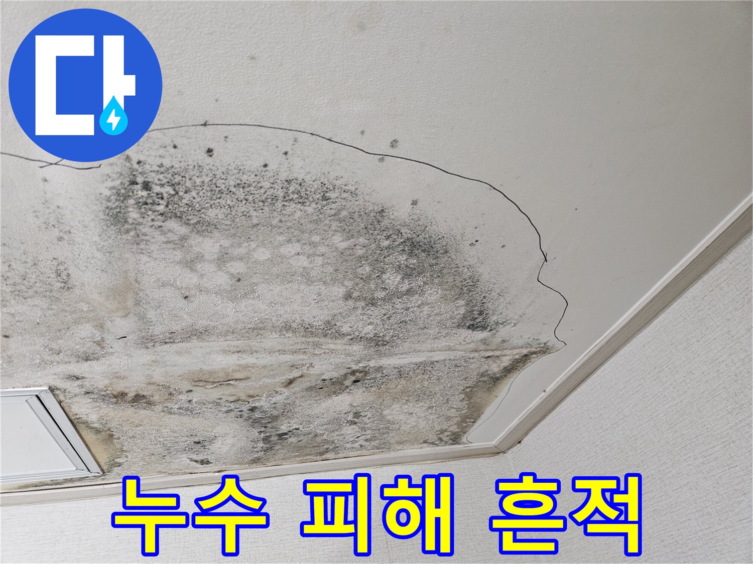 주방-천장-부위의-물자국과-곰팡이-발생