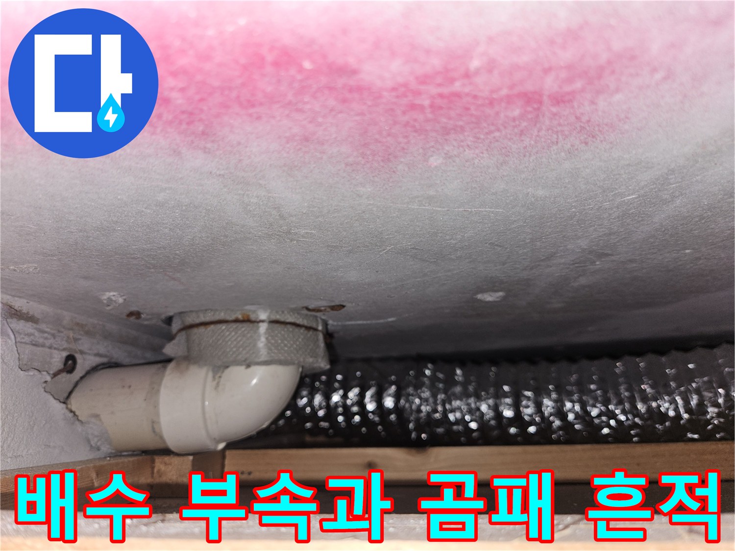 천장-내부의-배수-엘보-부품과-오염된-마감재-상태