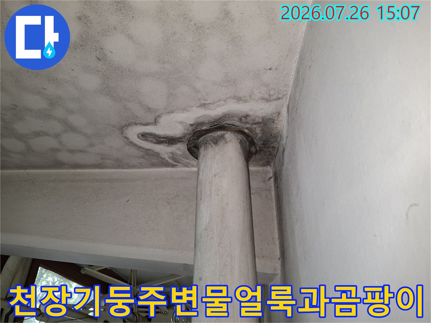 거실 천장의 원형 기둥 접합부를 중심으로 퍼져나간 어두운 색상의 물 얼룩-곰팡이 현상
