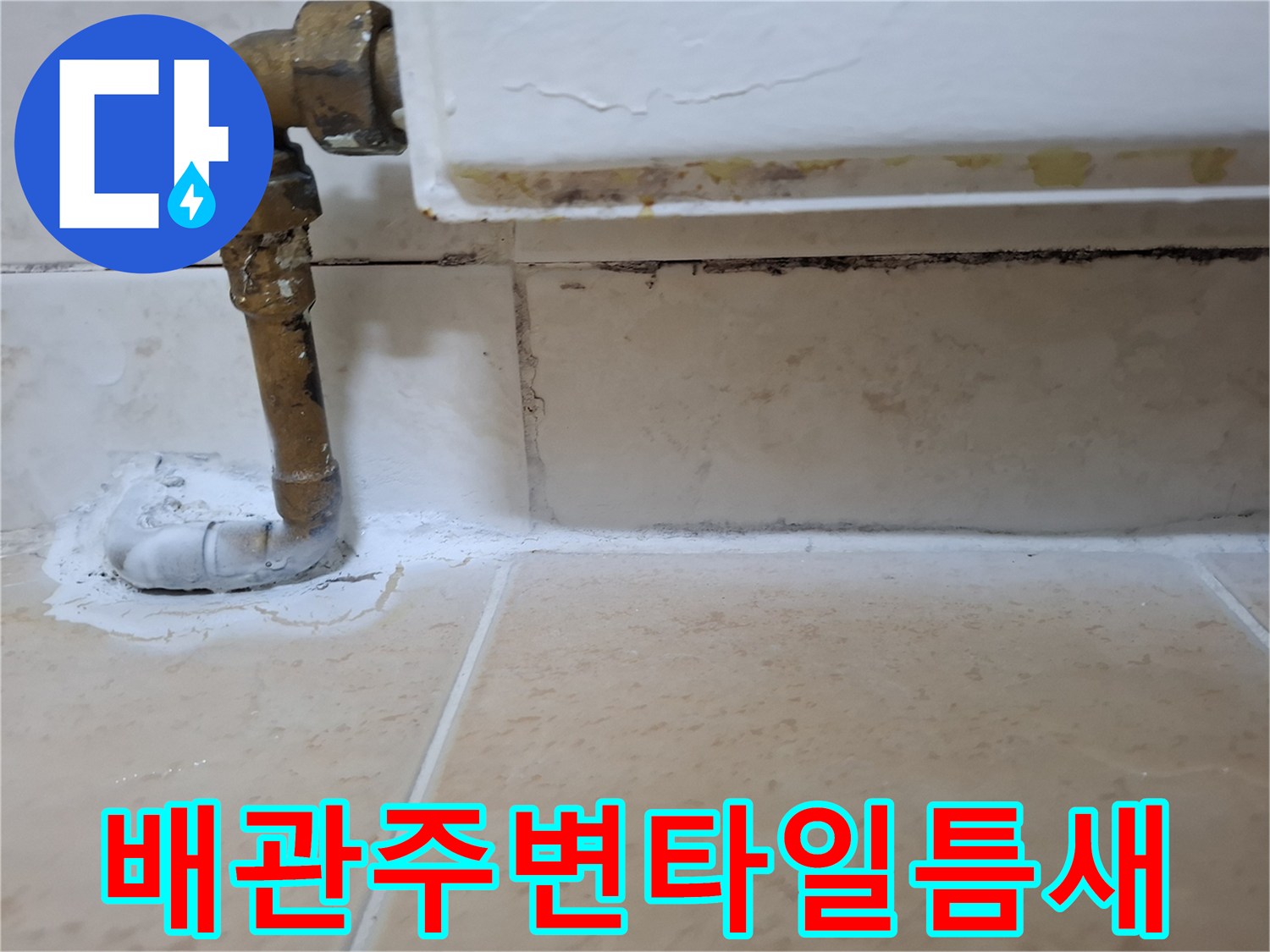 노원구 아파트 화장실 배관 관통 부위의 타일 틈새와 오염 상태