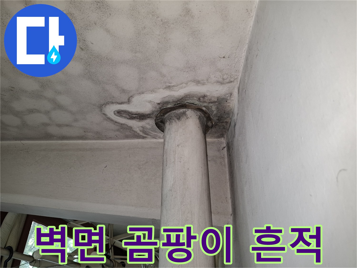 천장 기둥 주변에 집중된 곰팡이와 습기 얼룩