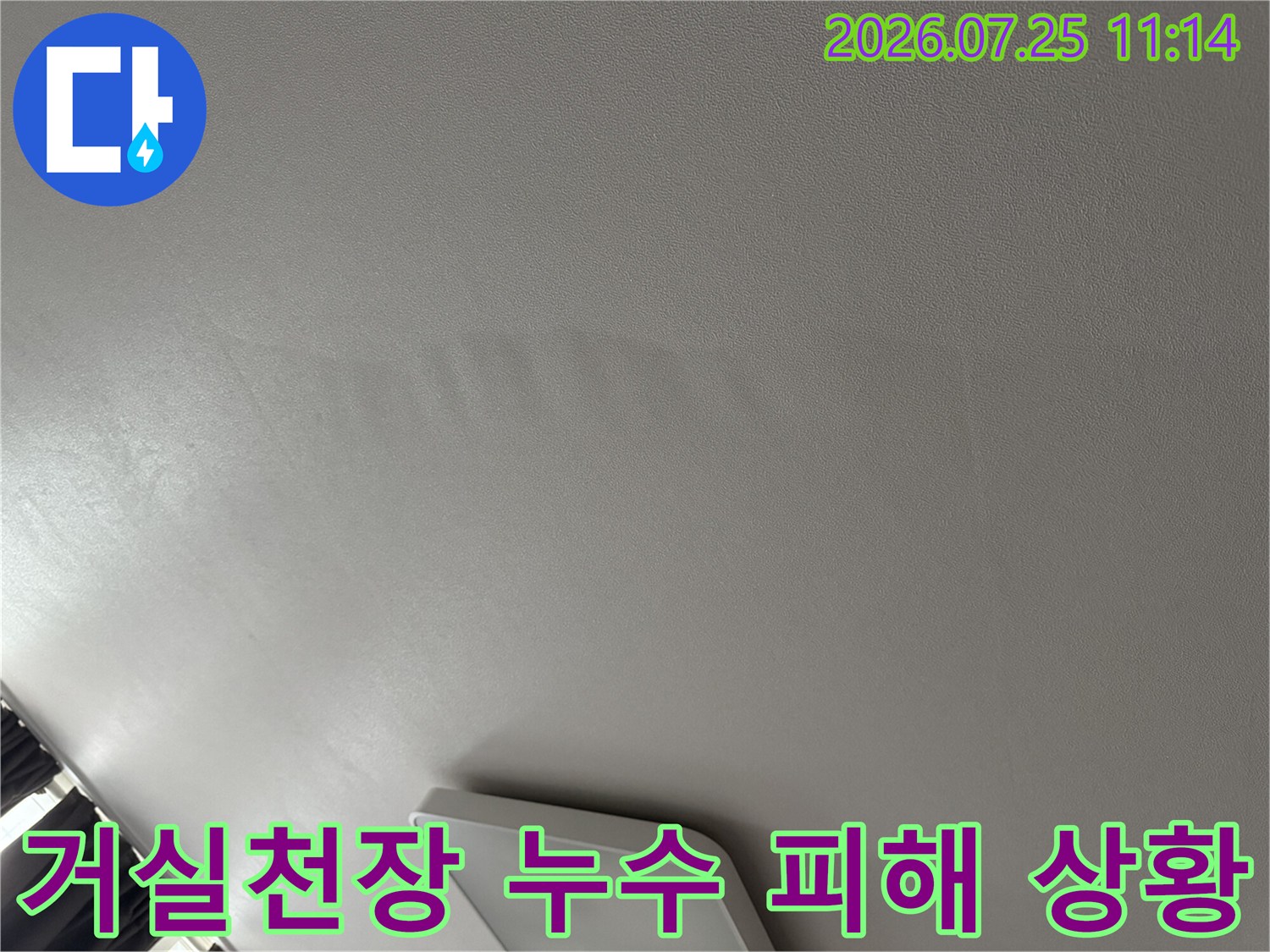거실 천장의 습기 흔적과 젖어서 변색된 마감재 표면