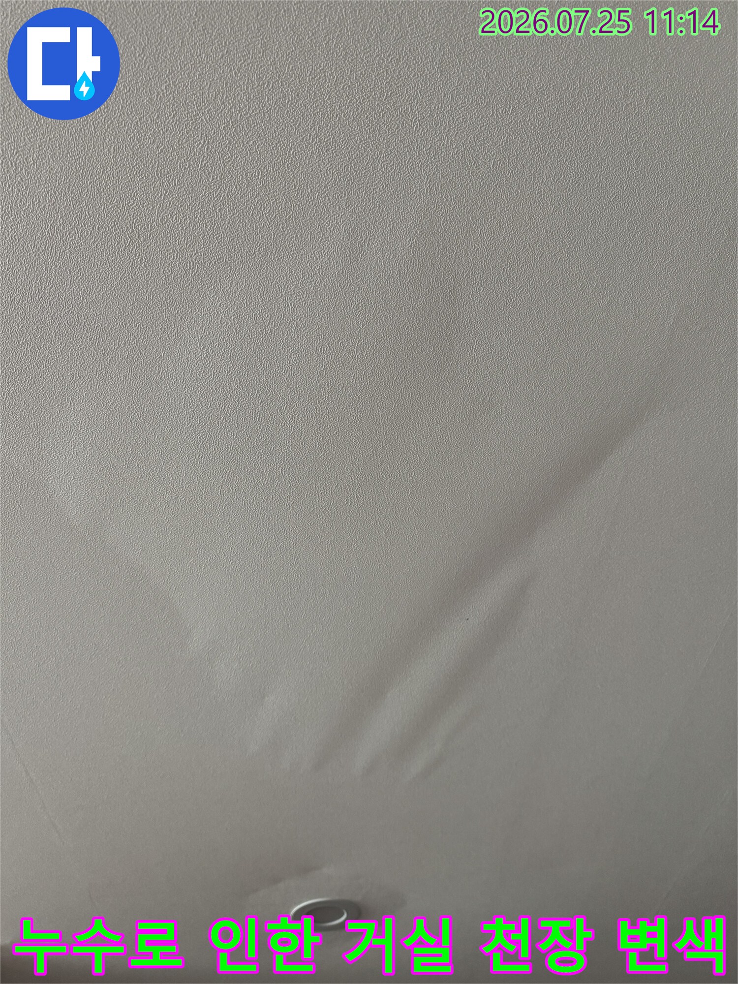 천장에 형성된 물자국을 기반으로 누수 경로를 분석하는 사진