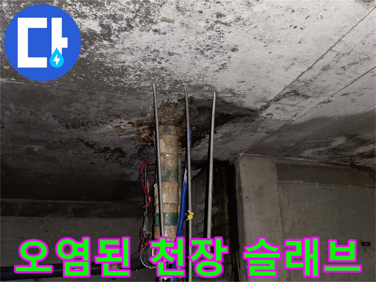 분당-수내동-상가-천장-배관-주변-누수-흔적-확인