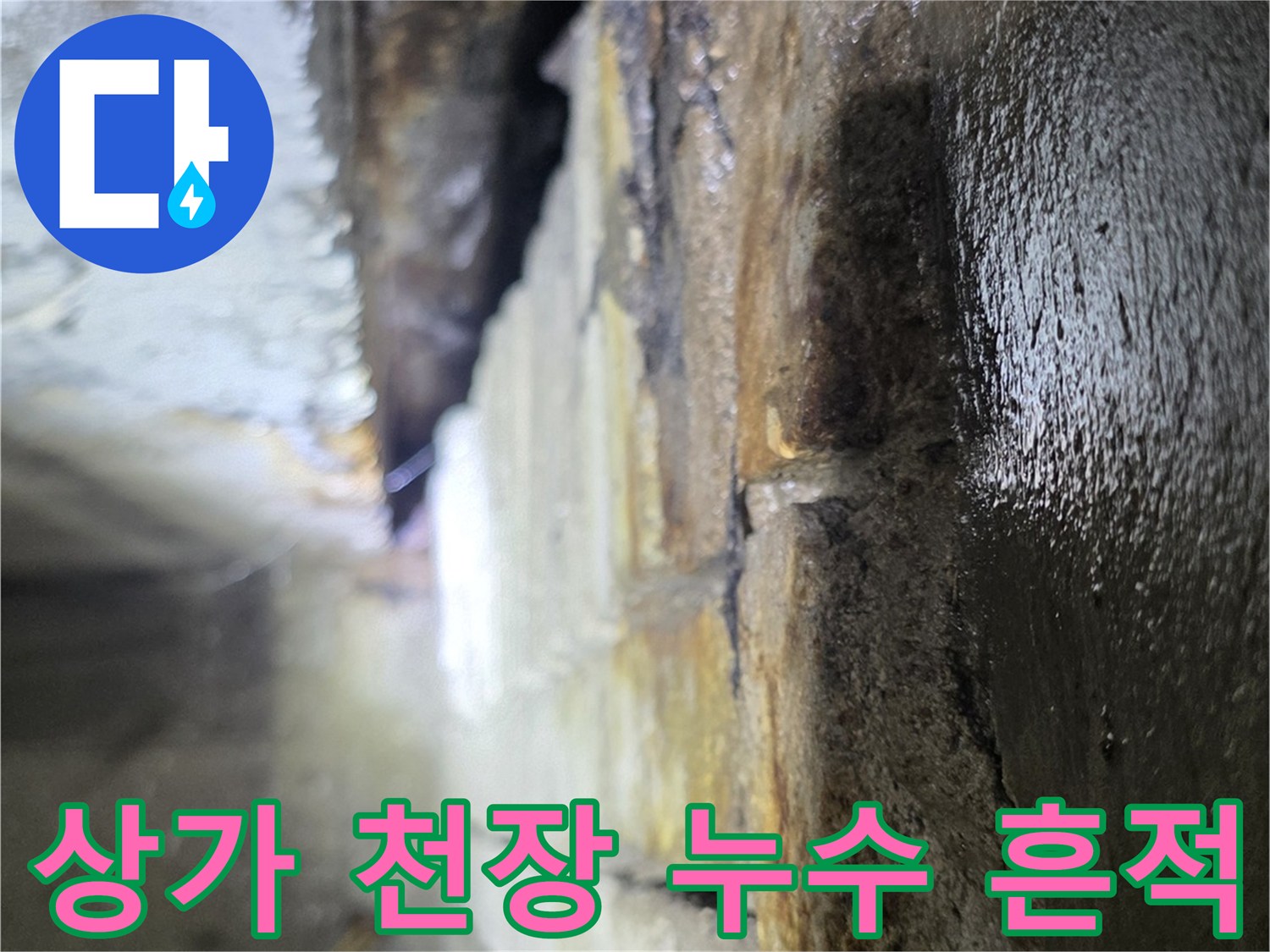 분당-수내동-상가-천장-습기-및-오염-상태