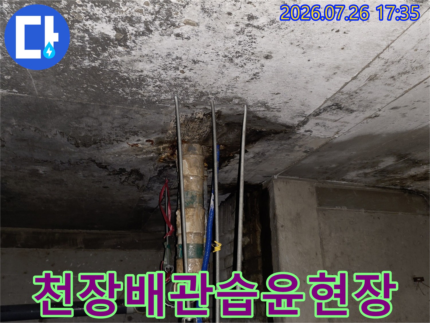 콘크리트-천장에서-물이-새어나와-배관-주변이-젖어있는-모습