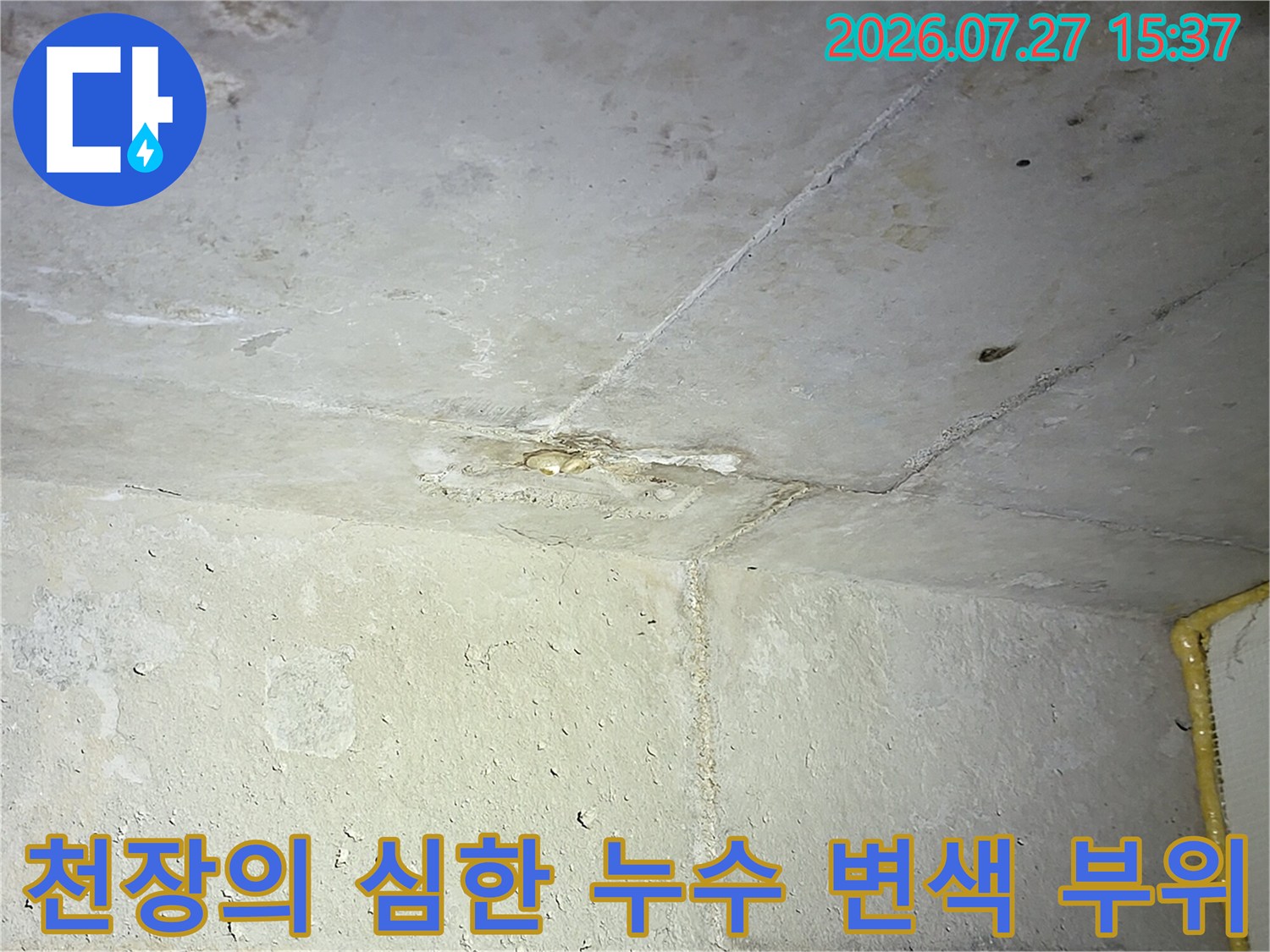 누수로 인해 얼룩지고 오염된 화장실 천장-콘크리트 표면 상태