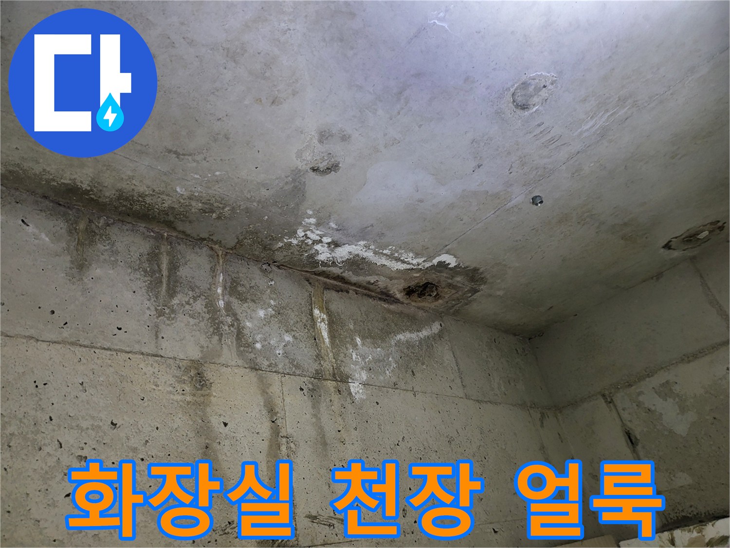 부천 중동 화장실 천장에 발생한 물자국과 곰팡이 흔적
