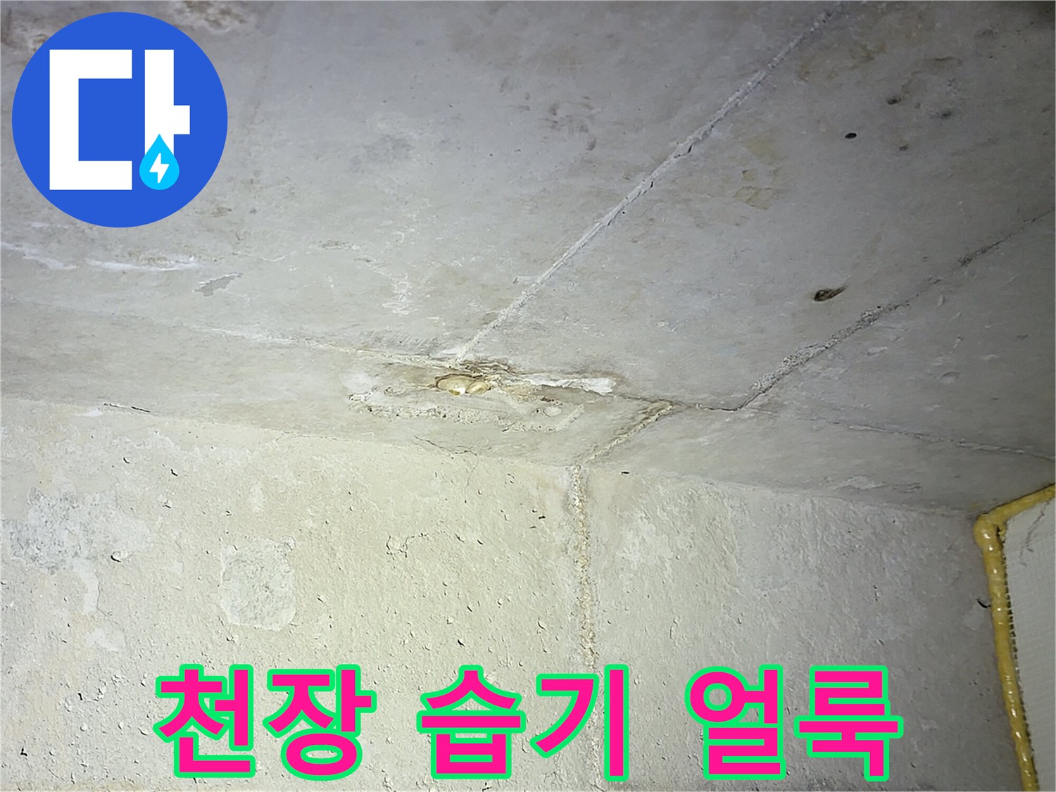 아랫집 천장-물샘으로 인한 습기 및 변색 부위