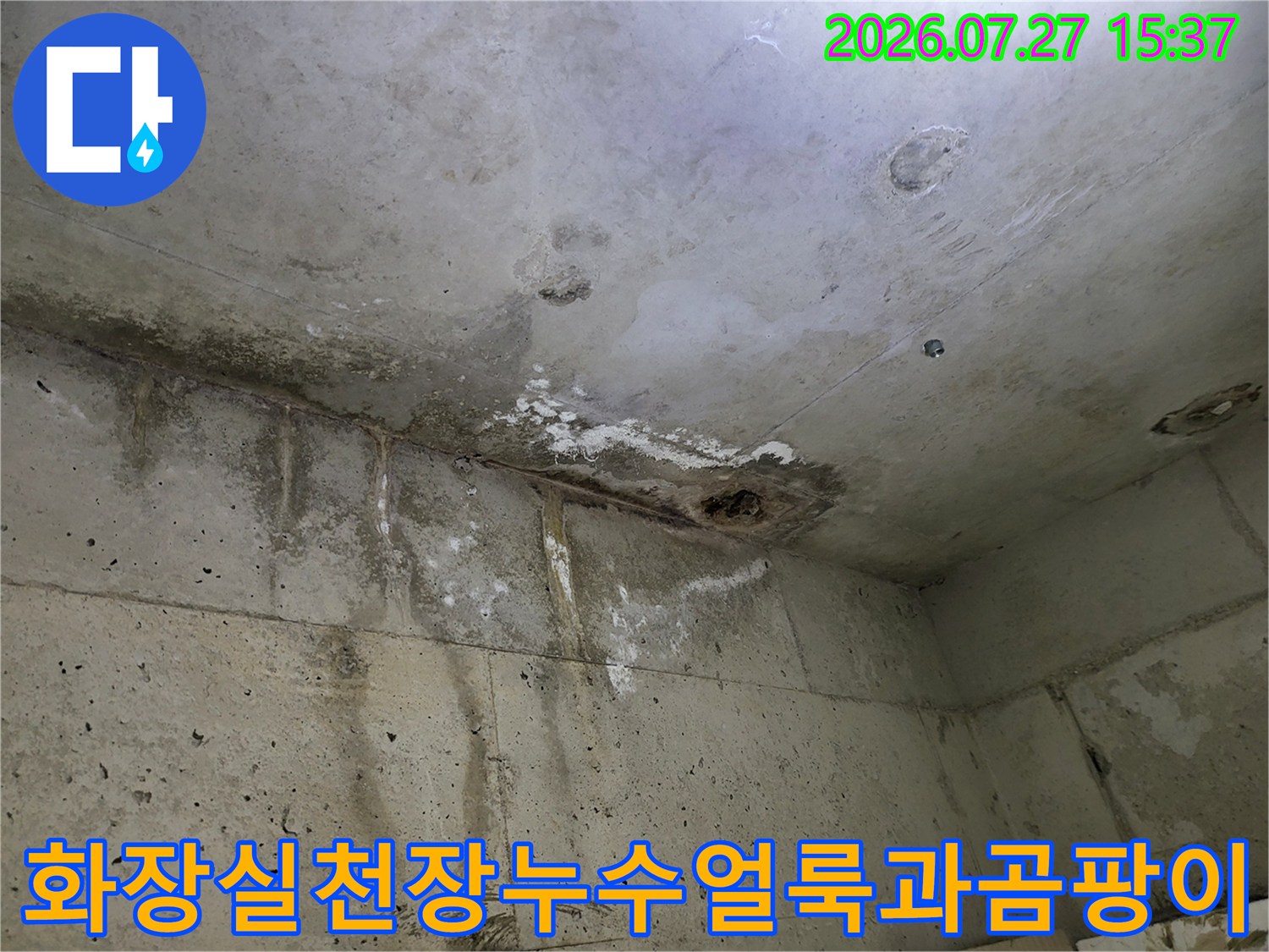 콘크리트-천장에-물자국과-검은색-곰팡이가-형성된-누수-피해-모습