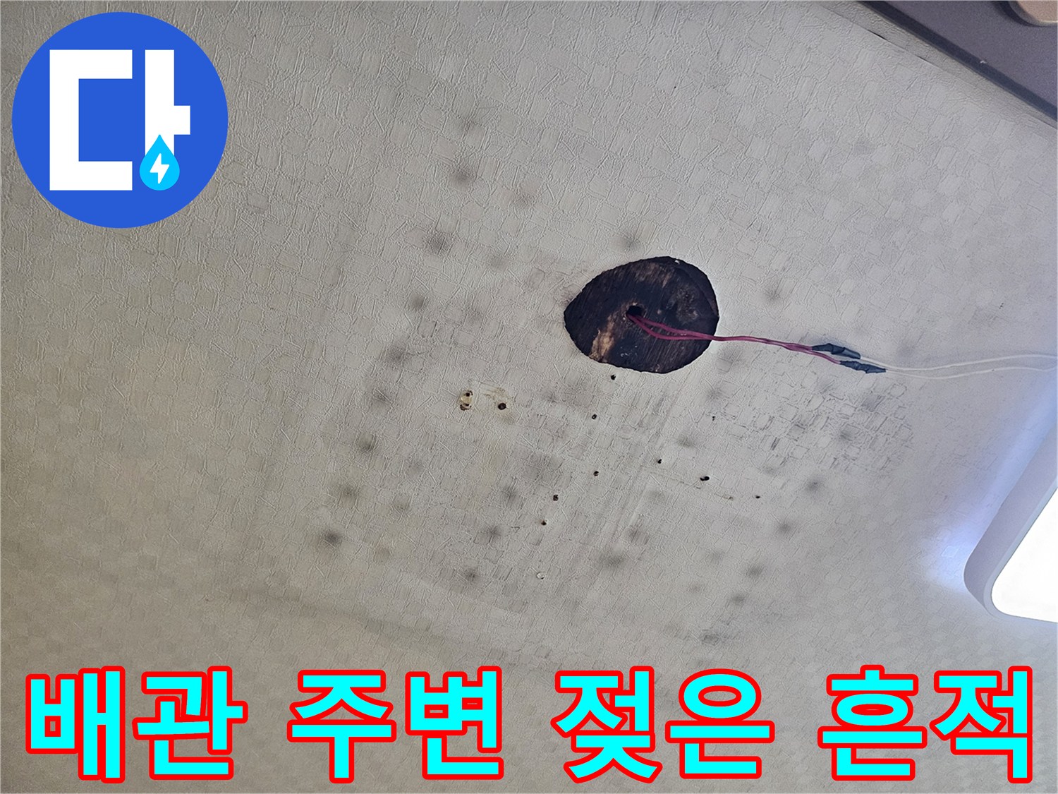 천장-배관-구멍-주변의-물샘-및-오염-상태