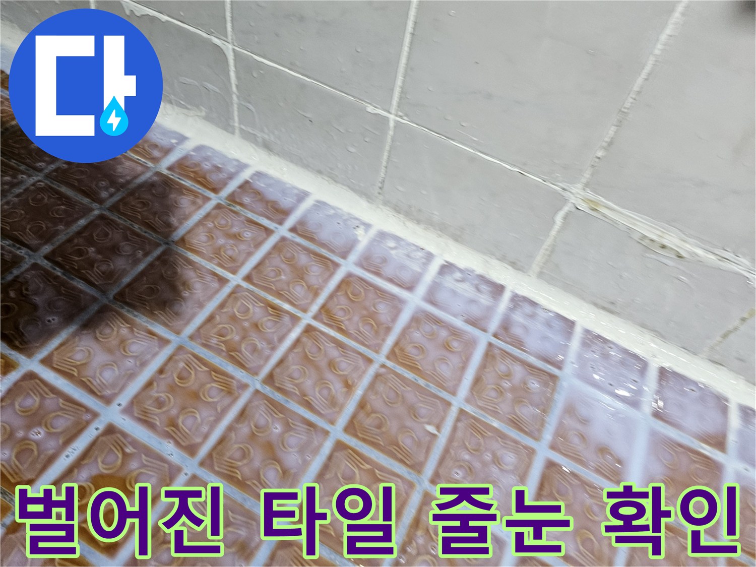 양천구 현장-물샘 우려가 있는 욕실 타일 틈새 부위